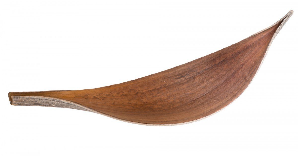 NaDeco Bastelnaturmaterial Kokosblatt Medium, Natur, 15-40 cm Cocos nucifera Palmenschale