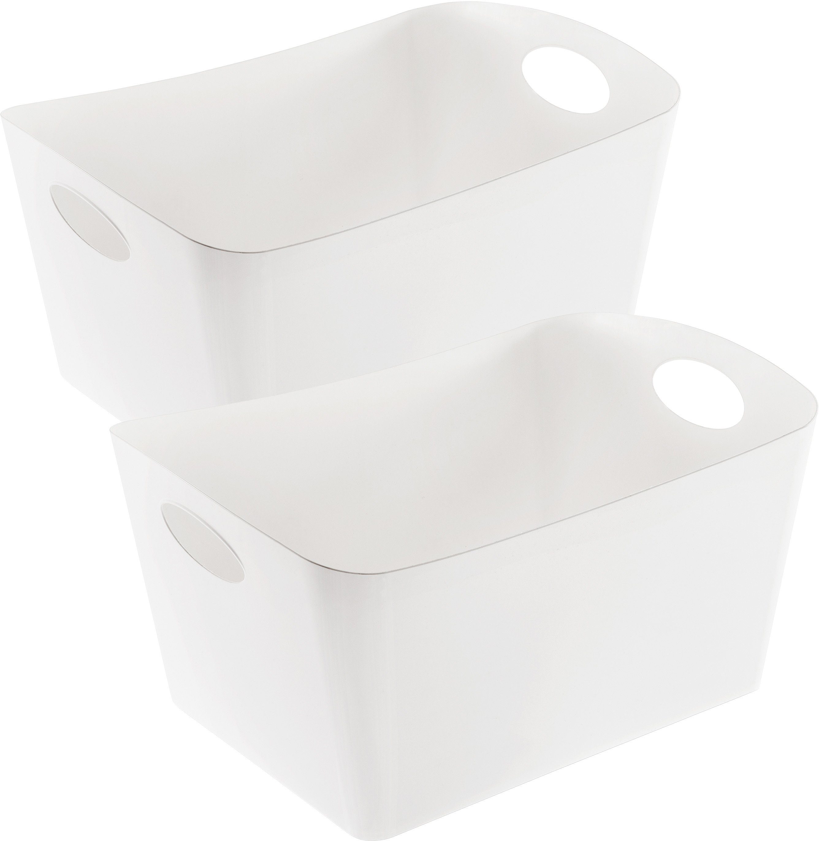 Organizer BOXXX L