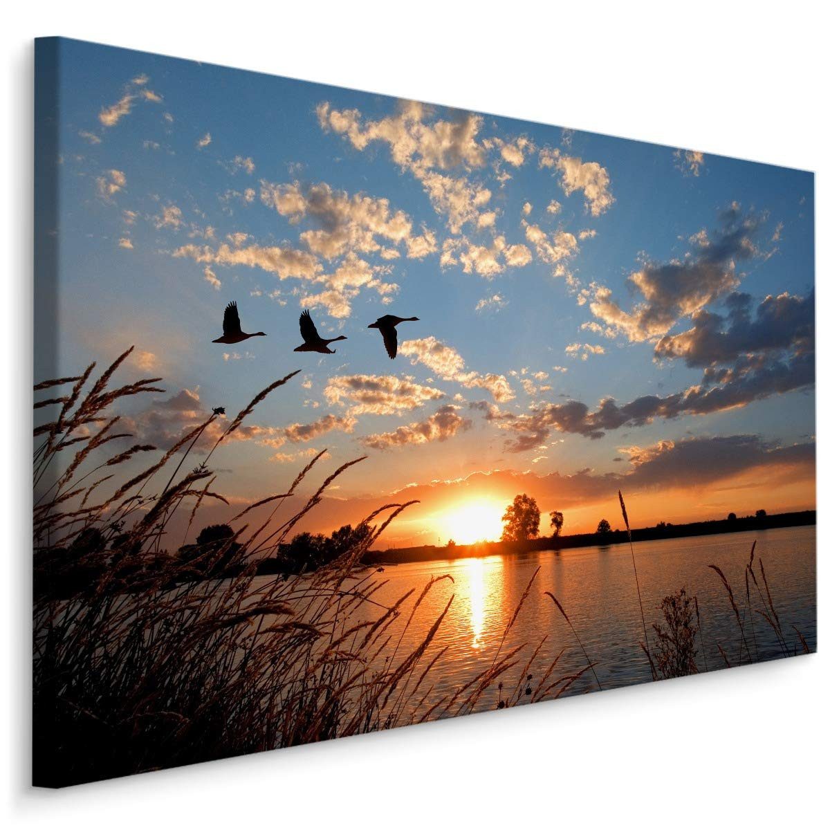 Muralo Leinwandbild Landschaft – Leinwandbild Wandbild Kunstdruck Wohnzimmer, Gewässer (1 St), Tiere – Vögel – Störche, 90 x 60 cm, aufhängefertig