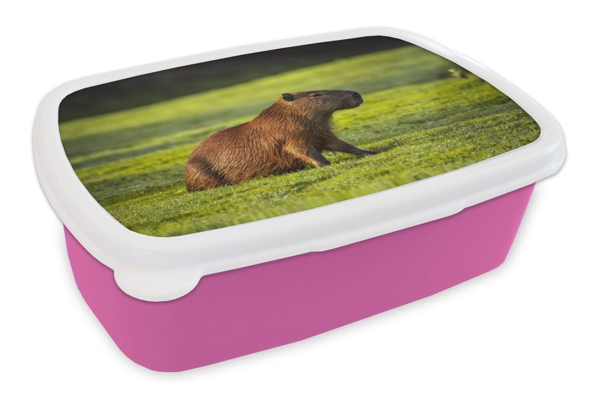 MuchoWow Lunchbox Goldene Sonnenstrahlen über dem Capybara, Kunststoff, (2-tlg), Brotbox für Erwachsene, Brotdose Kinder, Snackbox, Mädchen, Kunststoff rosa
