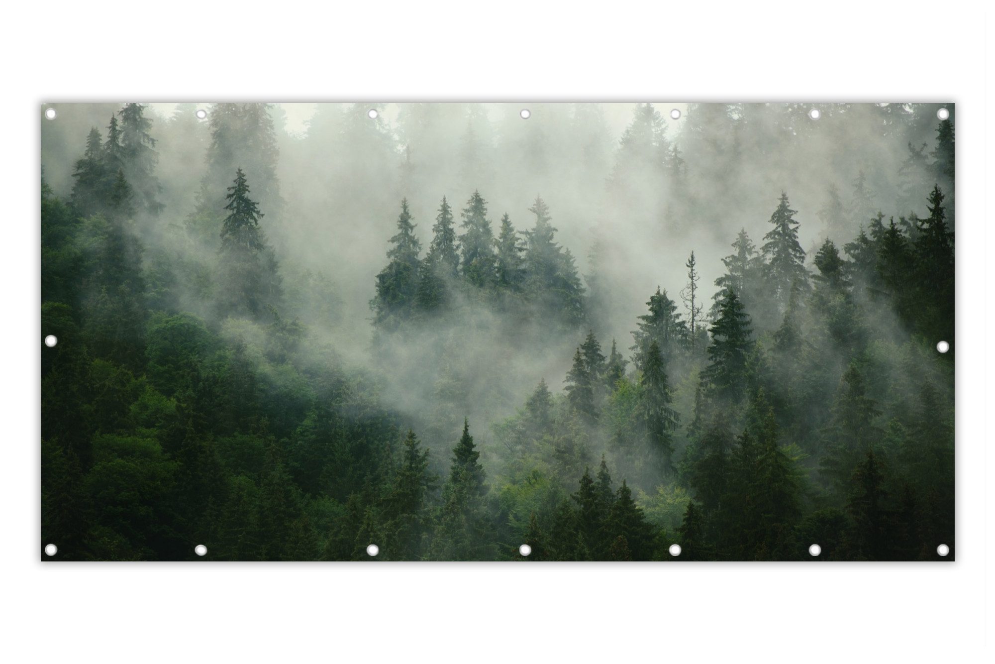 MuchoWow Balkonsichtschutz Wald - Nebel - Bäume - Natur (1-St) Balkon Sichtschutz 90x200, Windschutz für Zaun PVC, 200x90 cm