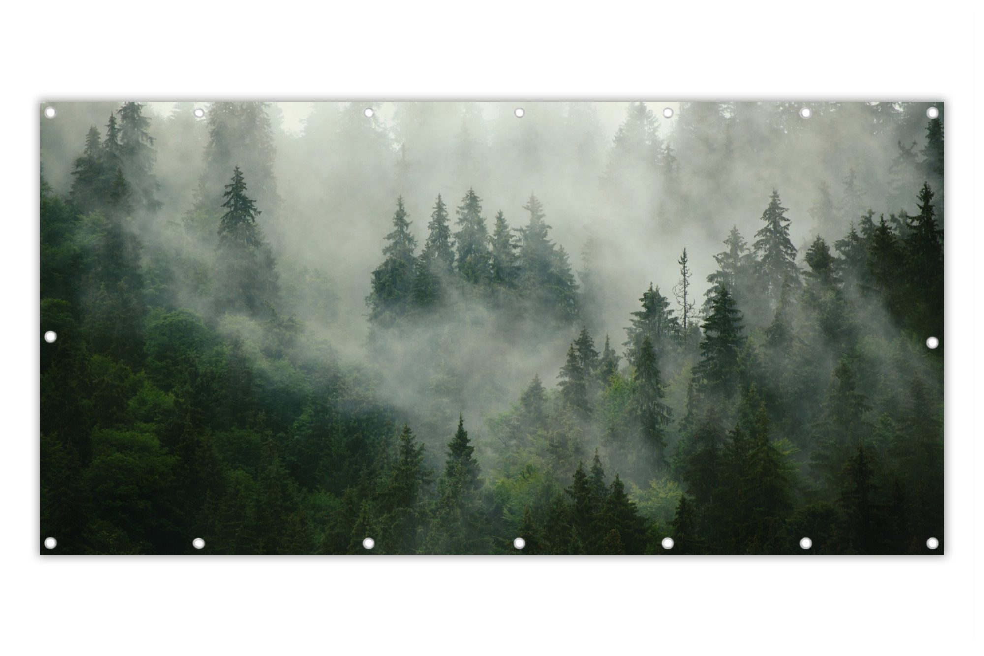 MuchoWow Balkonsichtschutz Wald - Nebel - günstig online kaufen