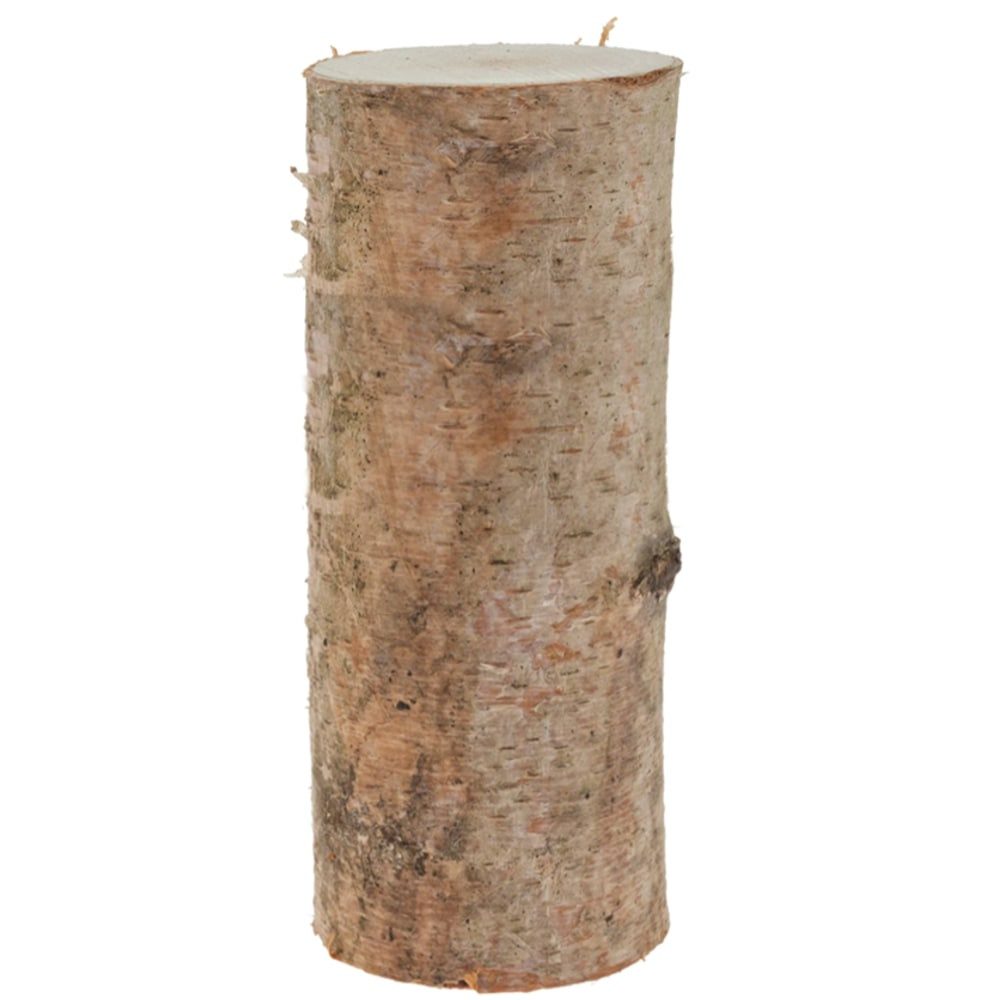 matches21 HOME & HOBBY Bastelnaturmaterial Birkenstämmchen für Basteln Deko in 12 x 30 cm, (1-tlg), Birken-Holz Naturmaterial Holz-Stamm für Basteln und Dekorieren