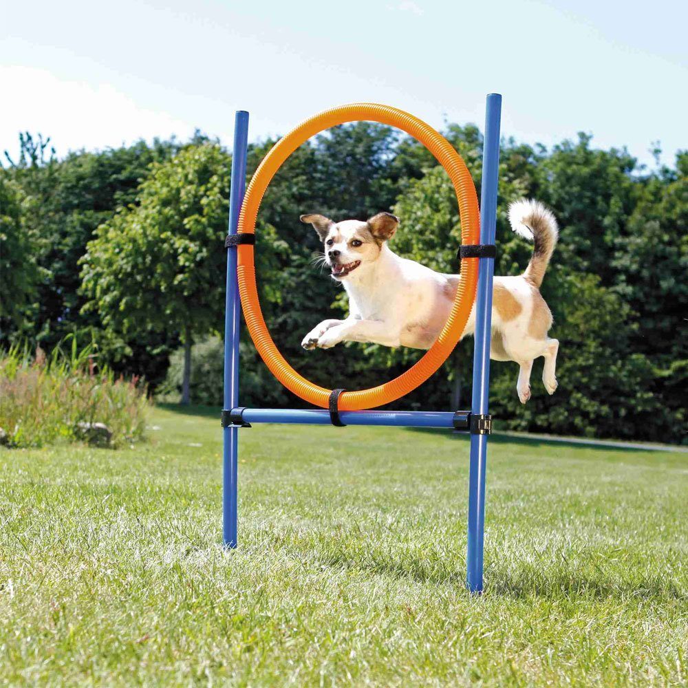TRIXIE Agility-Hürde Trixie Agility Ring