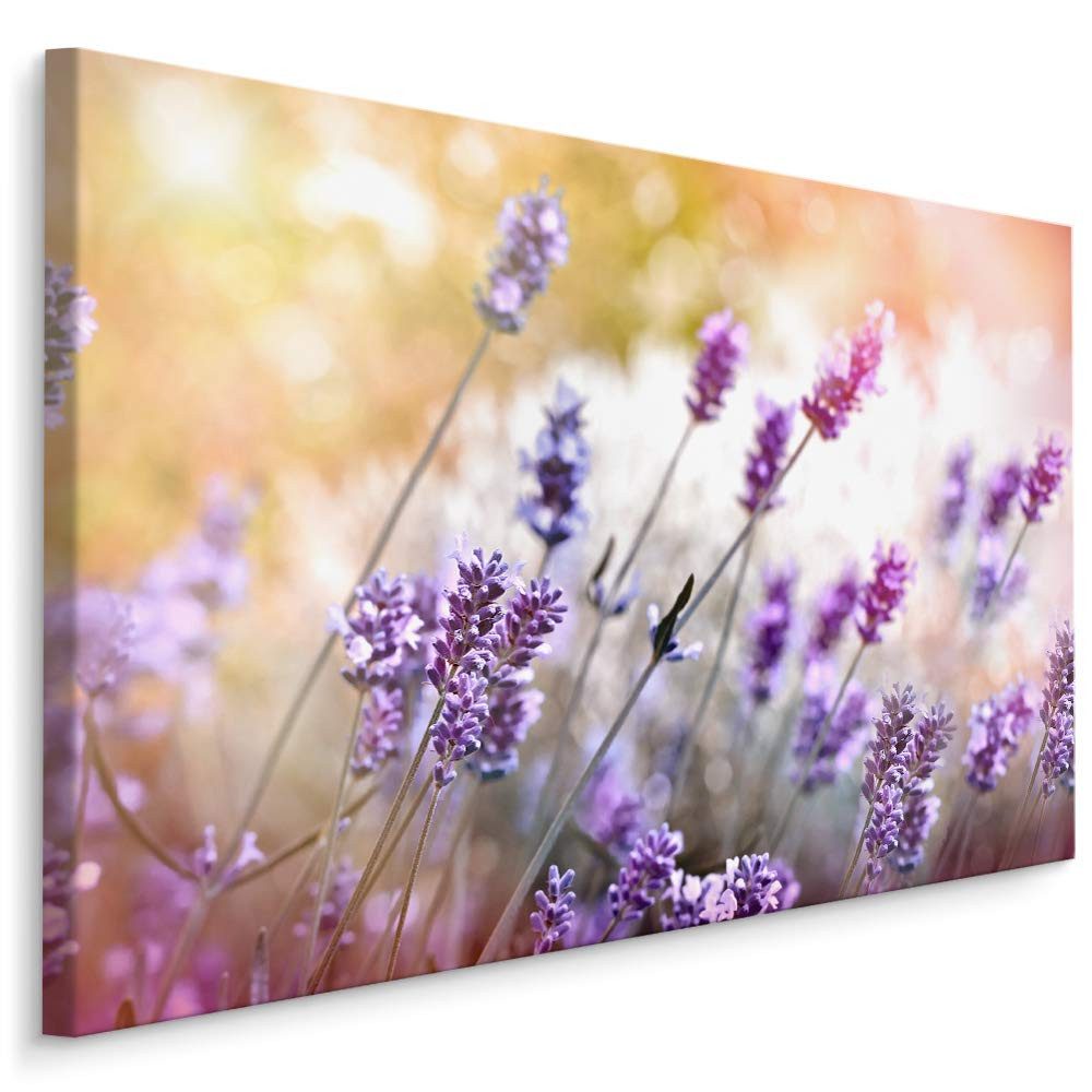 Muralo Leinwandbild Landschaft – Leinwandbild Wandbild Kunstdruck Wohnzimmer, Gewässer (1 St), Blumen – Lavendel – Natur, 100 x 70 cm, aufhängefertig