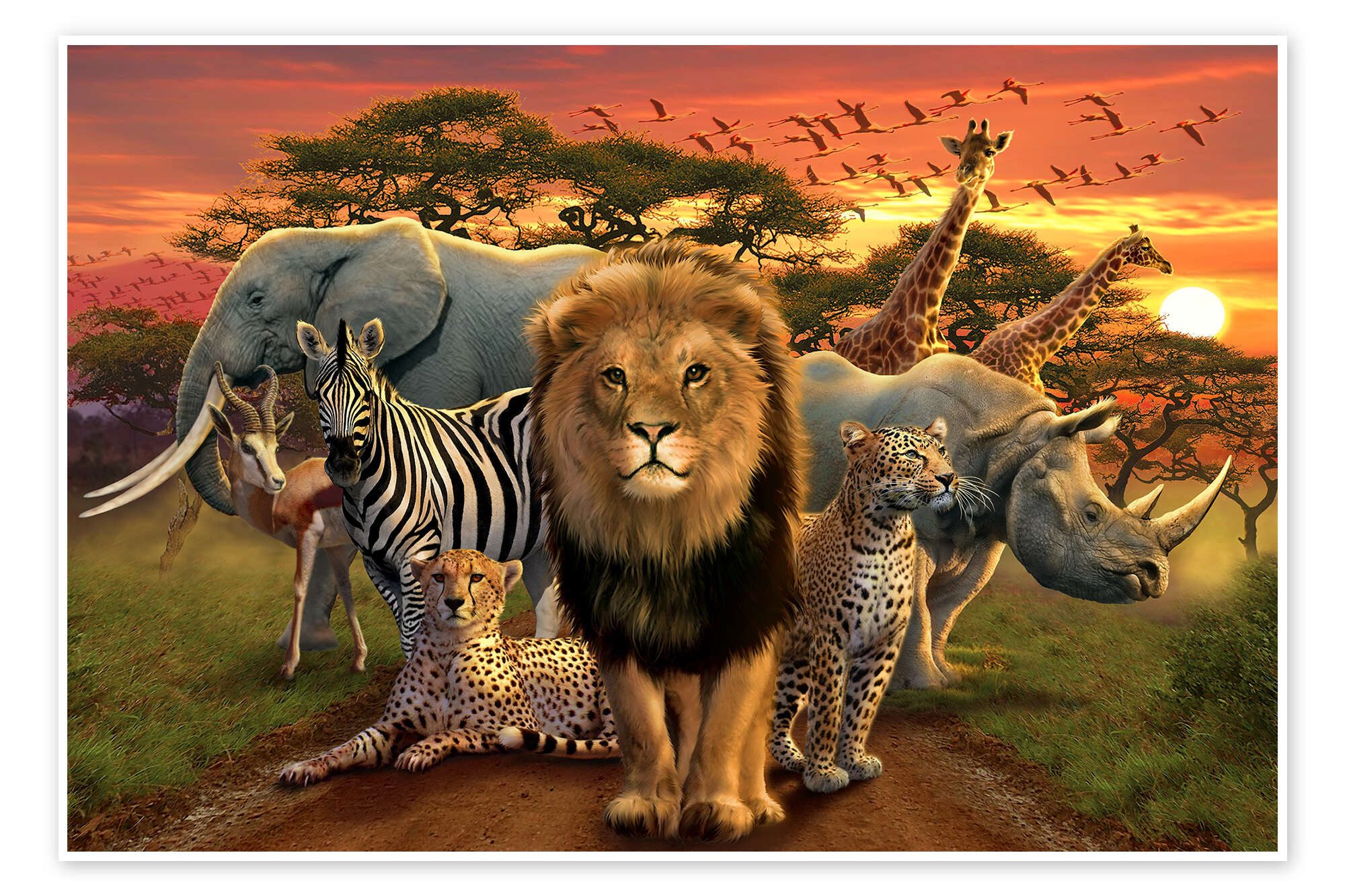 Posterlounge Wandbild Afrikanische Tiere, Andrew Farley, erhältlich als Poster, Leinwandbild, Wandsticker oder Acrylglasbild