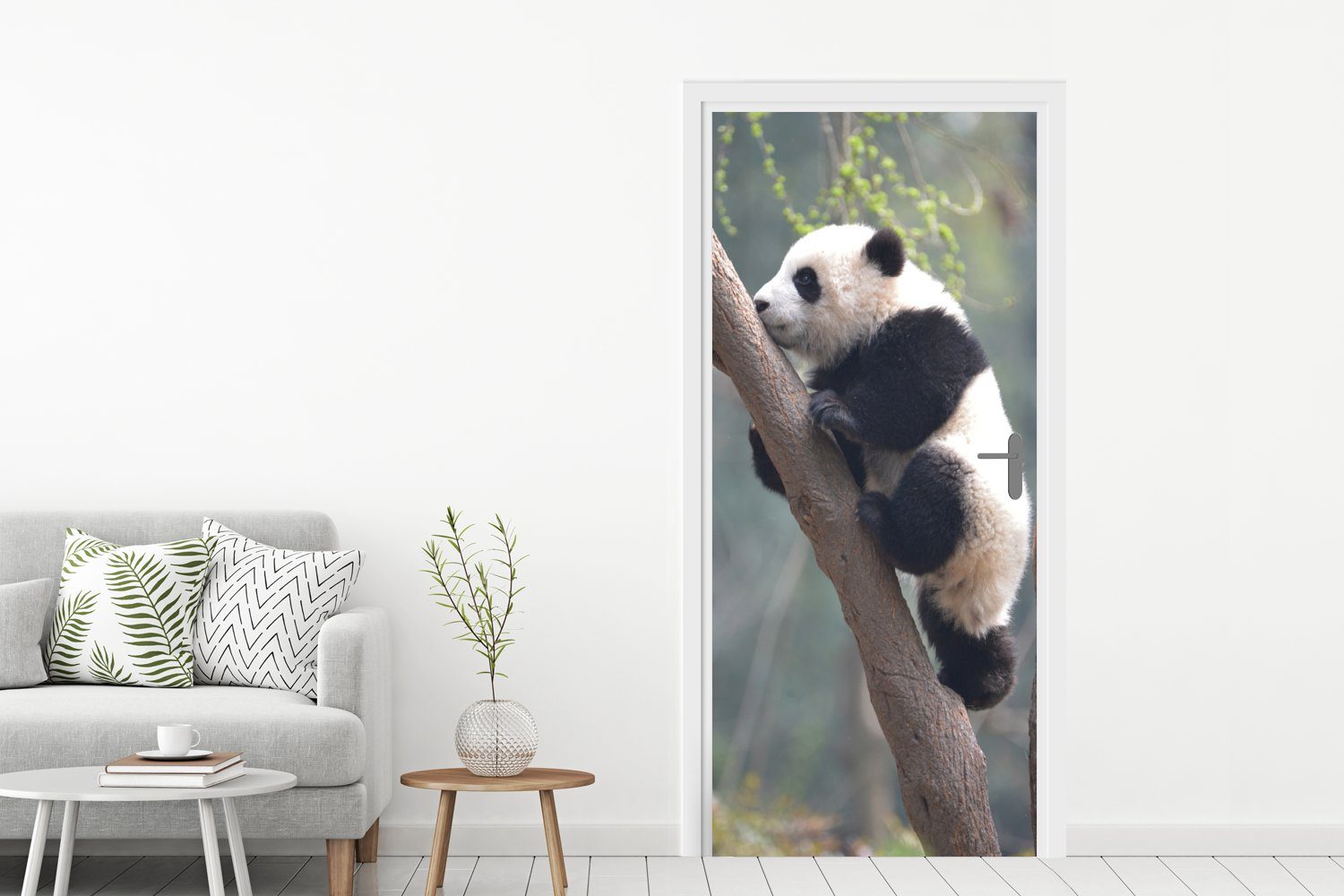 75x205 (1 Tür, Türaufkleber, Panda MuchoWow Fototapete cm - Baum, - Matt, bedruckt, für St), Tier Türtapete
