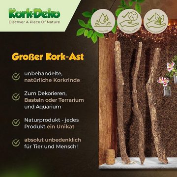 Kork-Deko.de Terrariendeko