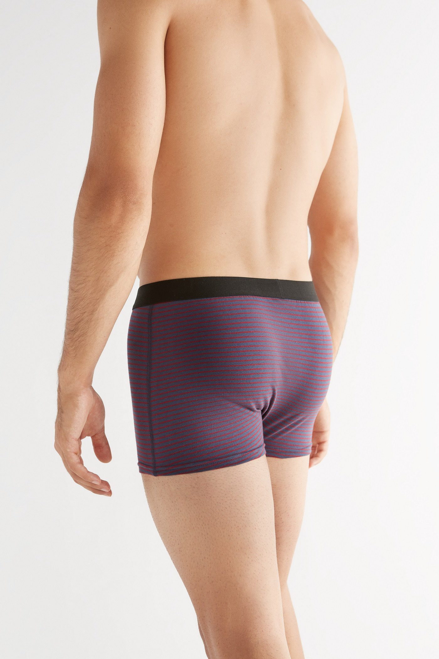 Albero Natur Trunk Trunk Shorts (6er günstig online kaufen