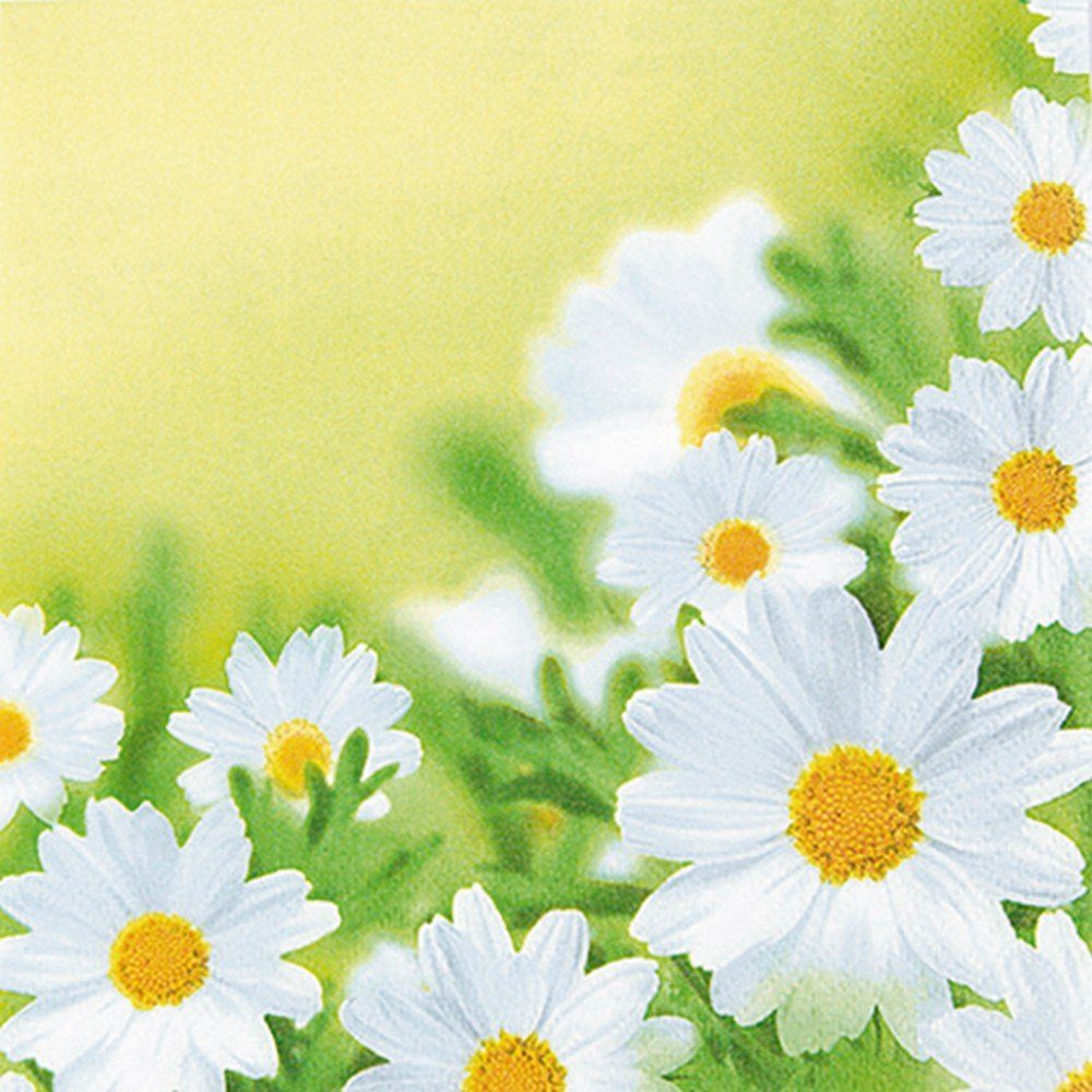 HOME FASHION Papierserviette 20 Servietten White daisies - Hübsches Margeritenfeld 33x33cm, (20 St)
