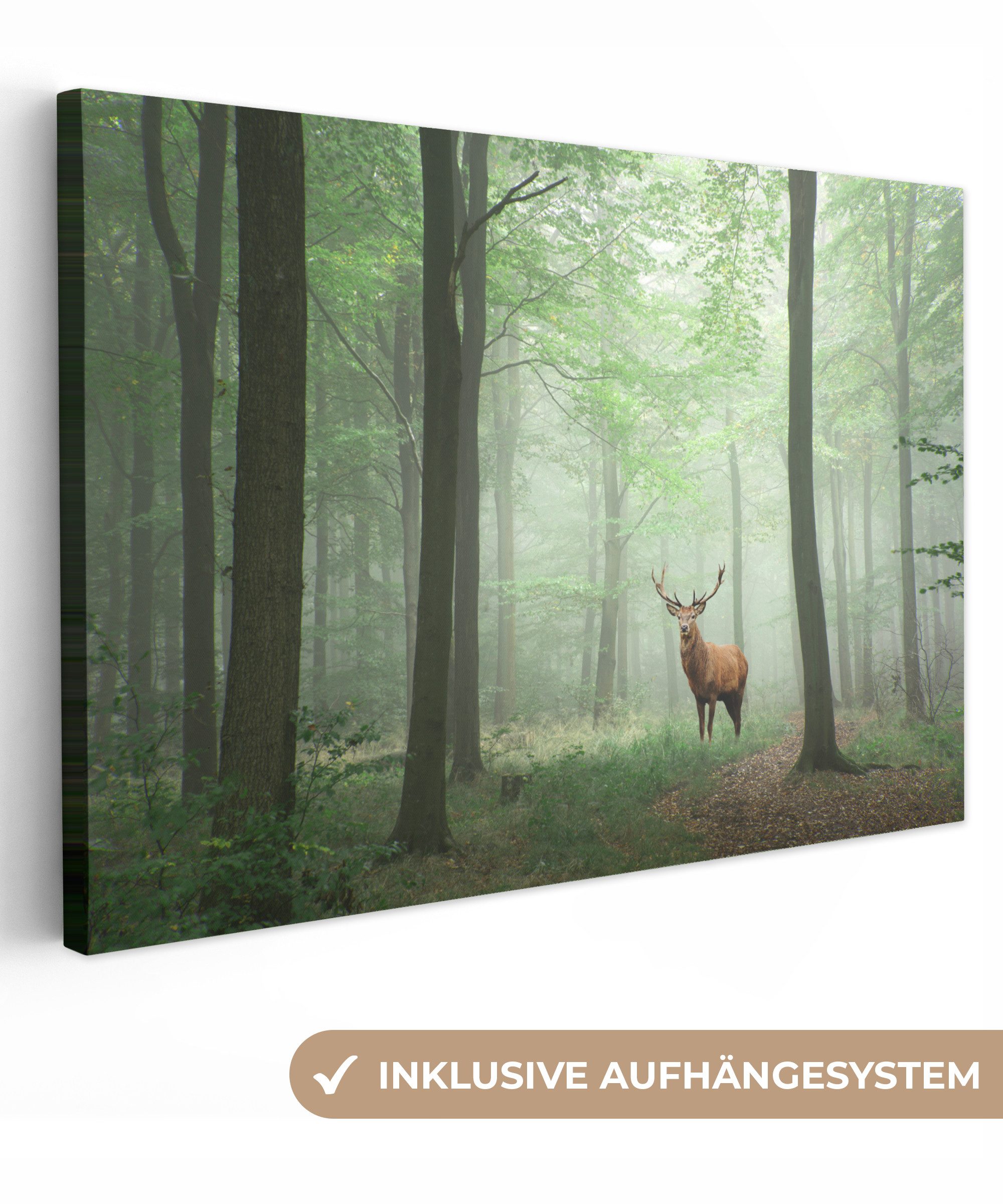 OneMillionCanvasses® Leinwandbild Hirsche - Wald - günstig online kaufen