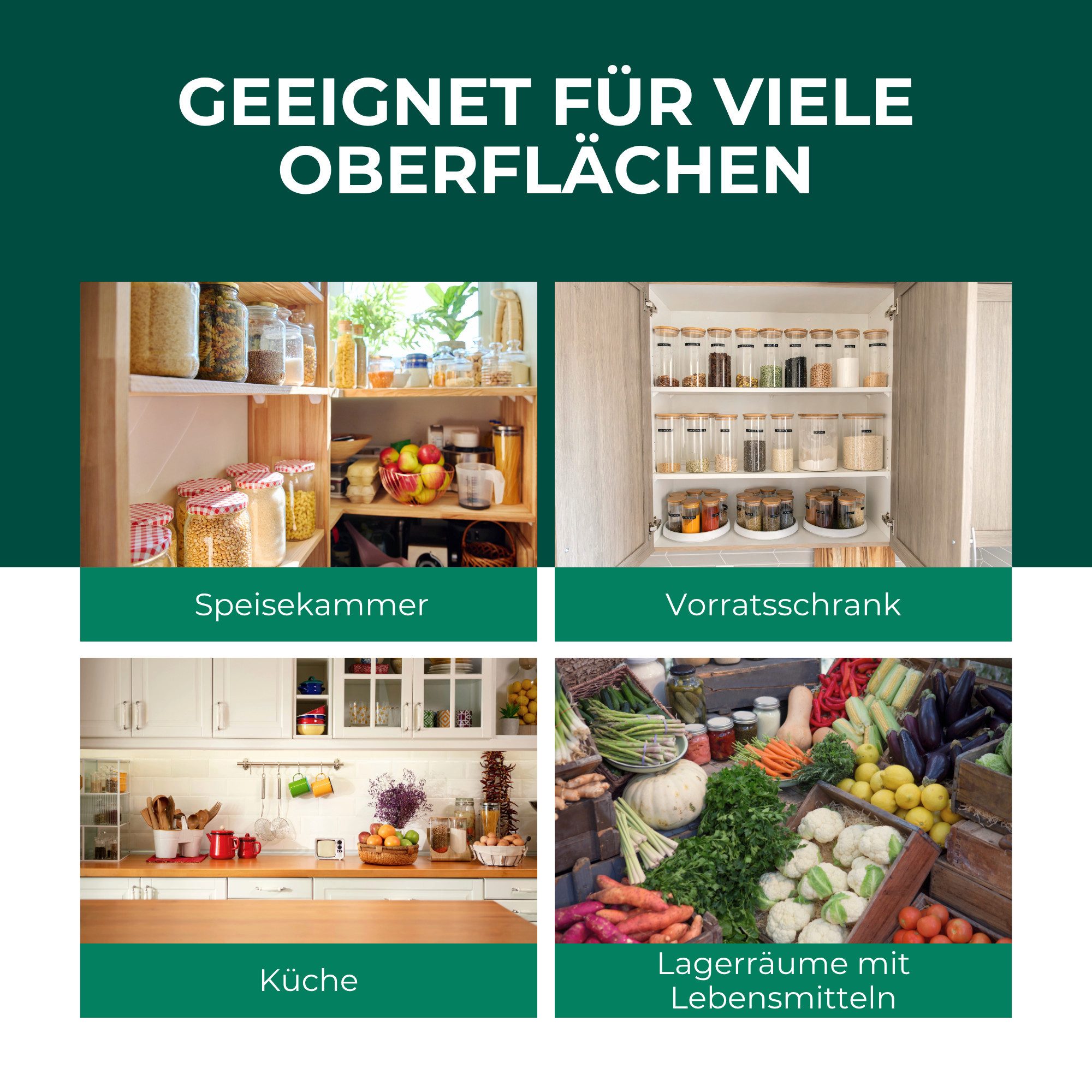Silberkraft Insektenfalle Lebensmittelmottenfallen 12 Stück inkl. Gratis E-Book per QR-Code, Pheromon-Leimfallen zur Befallsüberwachung von Lebensmittelmotten – Bild 4 von 5