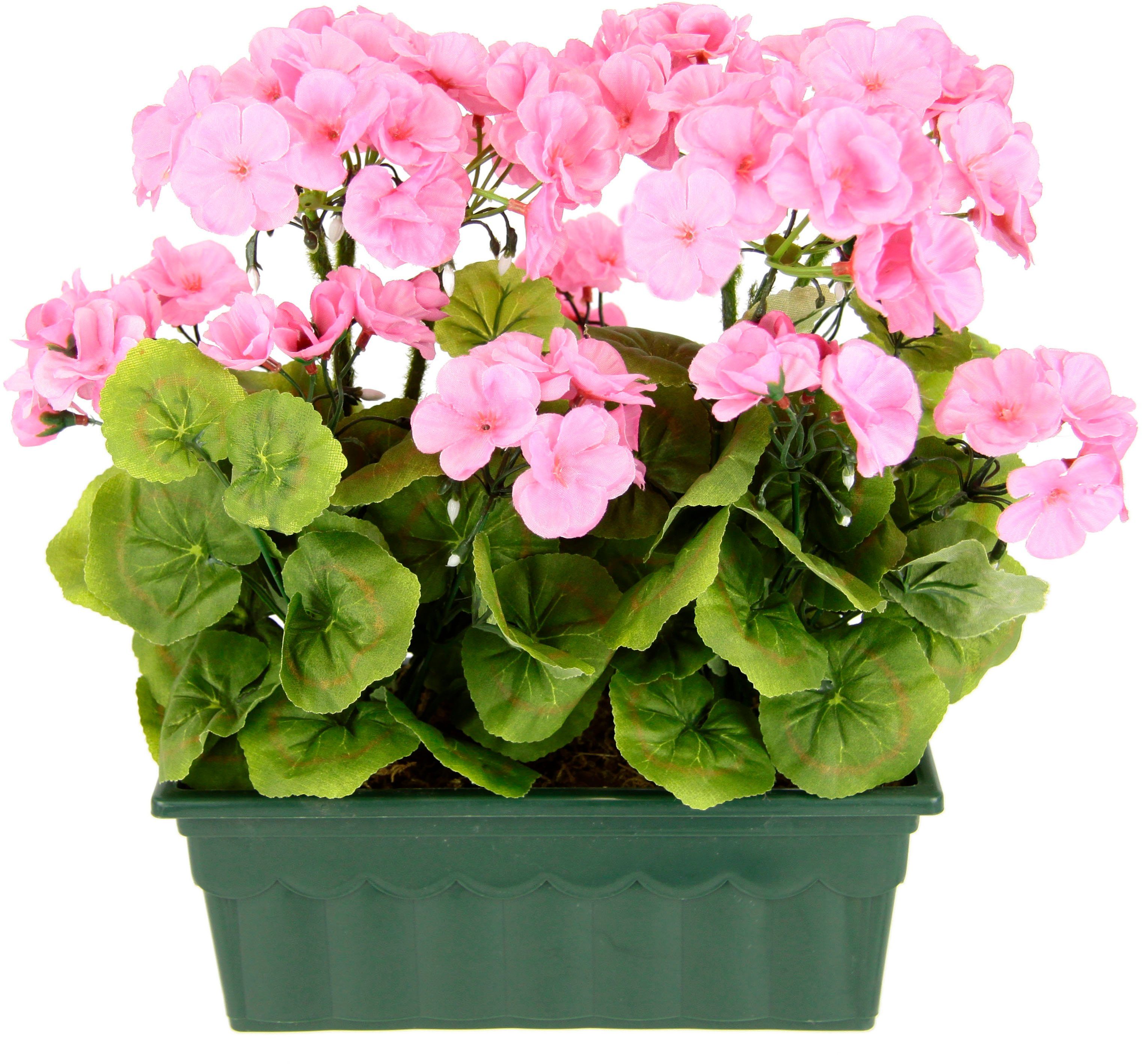 Kunstblume Geranie, my home, Höhe 36 cm, Im Kasten