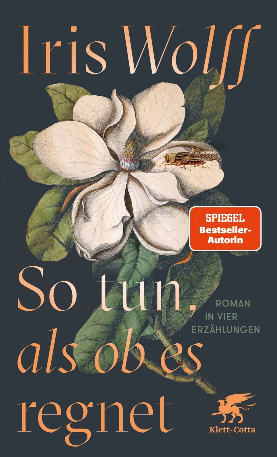 Belletristik So tun, als ob es regnet Roman in vier Erzählungen Iris Wolff