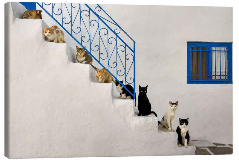 Posterlounge Leinwandbild Katho Menden, Katzen auf Treppe in Griechenland, Fotografie