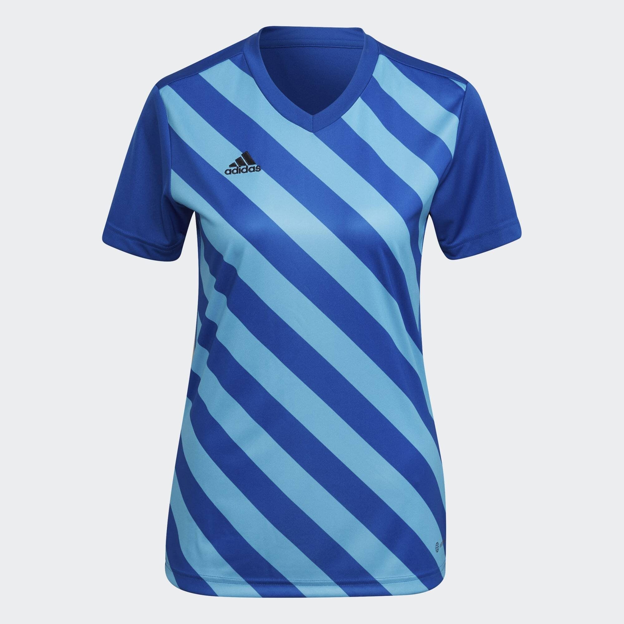 Fußballtrikot ENTRADA 22 GRAPHIC TRIKOT