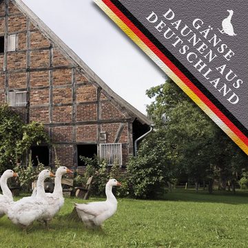 Gänsedaunenbettdecke, Glenna 90 Bio, Paradies, Füllung: 90% Daunen, 10% Federn, Bezug: 100% Baumwolle kbA, mit Gänsedaunen aus Deutschland!