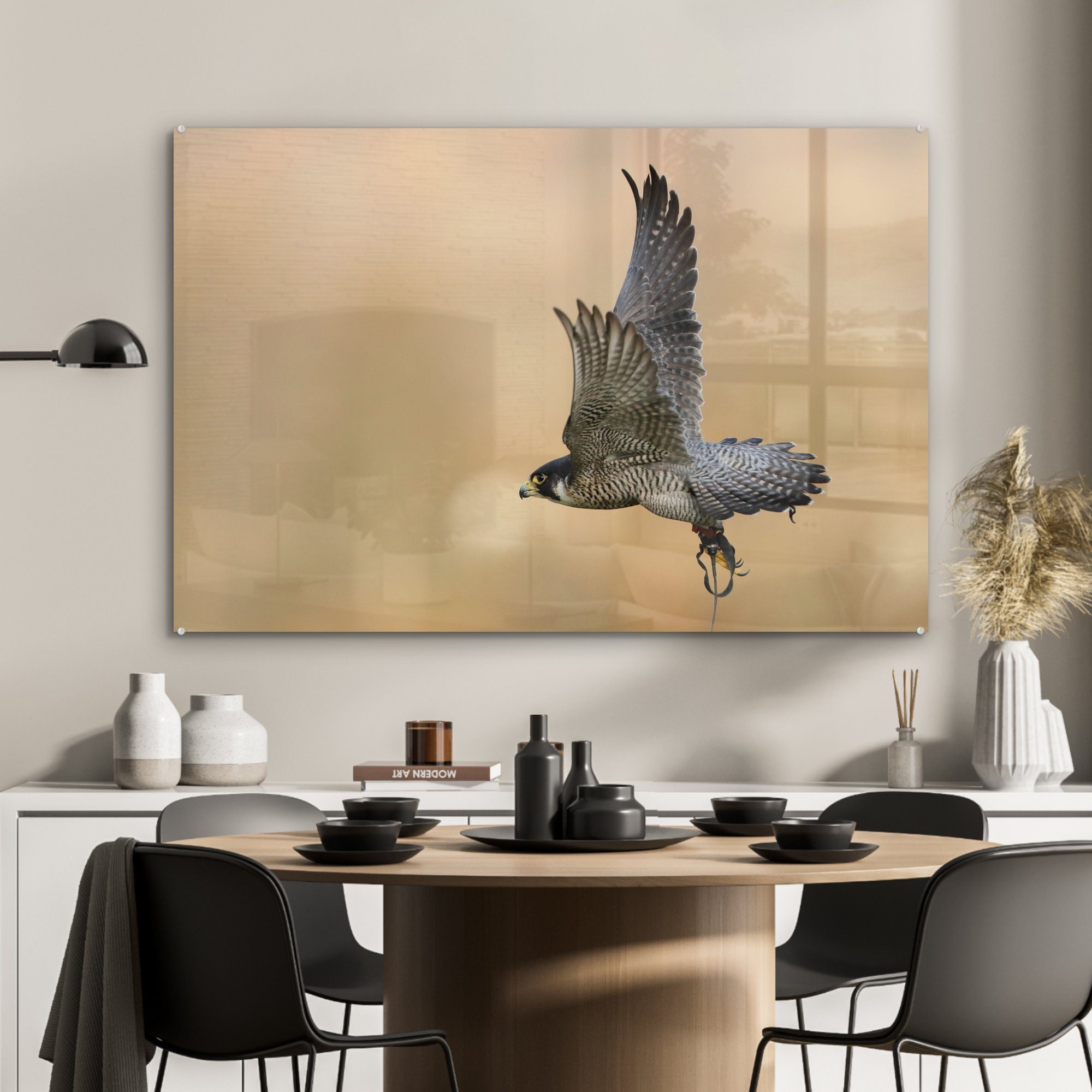 MuchoWow Acrylglasbild Falke - & St), Schlafzimmer Acrylglasbilder (1 - Fliegend Raubvogel, Wohnzimmer