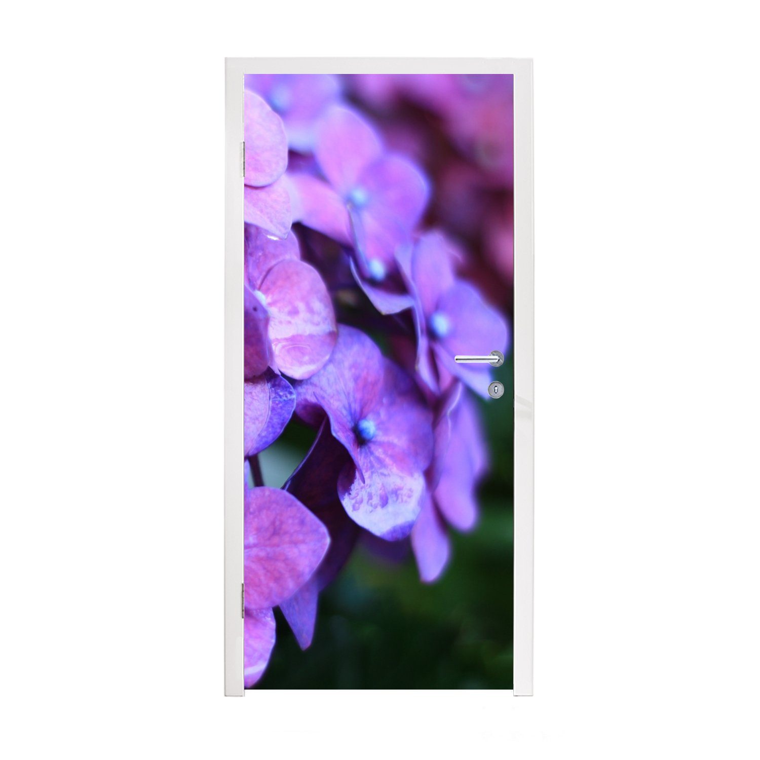 MuchoWow Türtapete Blumen - Lila - Hortensie - Natur - Blütenblätter, Matt, bedruckt, (1 St), Fototapete für Tür, Türaufkleber, 75x205 cm