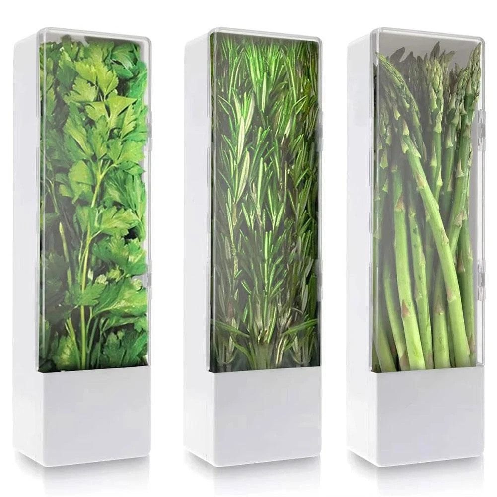 BlingBin Frischhaltedose Kräuterbehälter für Kühlschrank, Kräuter Aufbewahrungsbehälter, Kunststoff, (1er Ser, 3-tlg., 27 × 8,7 × 7,5 cm), Langfristige Frischekonservierung, Kräuteraufbewahrung für Koriander