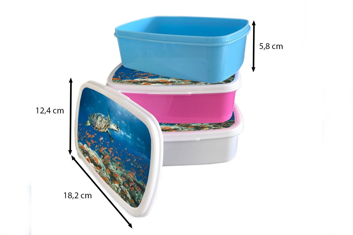 Korallenriff Schildkröte, und Brotbox für Kunststoff, mit Erwachsene, MuchoWow und (2-tlg), für Mädchen Kinder weiß Brotdose, Jungs Lunchbox