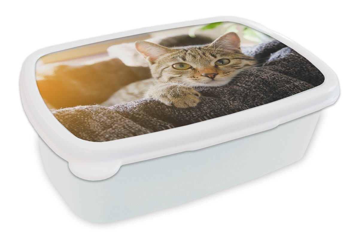MuchoWow Lunchbox Katze - Korb - Vorleger, Kunststoff, (2-tlg), Brotbox für Kinder und Erwachsene, Brotdose, für Jungs und Mädchen weiß