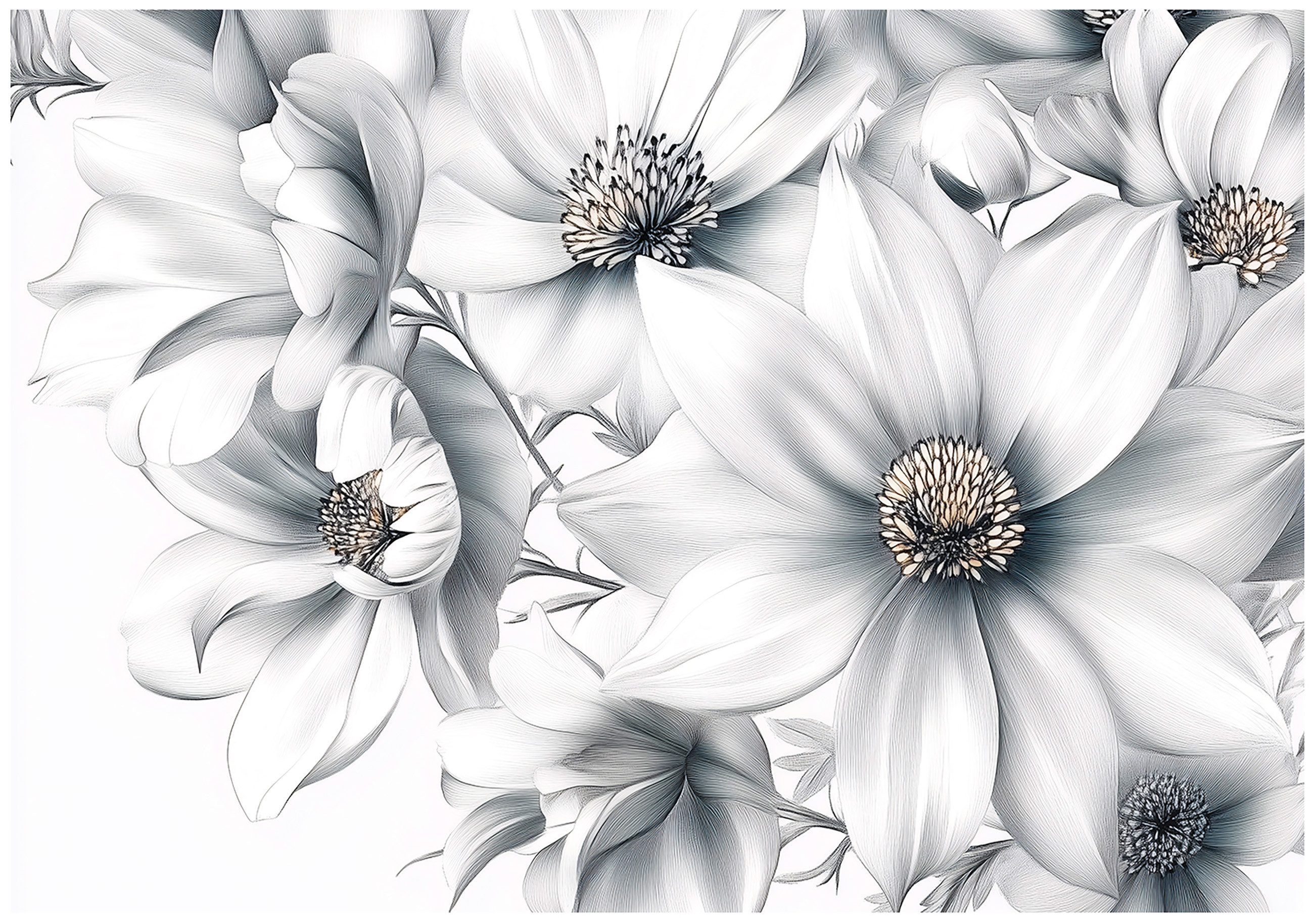 Wallarena Fototapete Blumen Natur Weiß Vlies günstig online kaufen