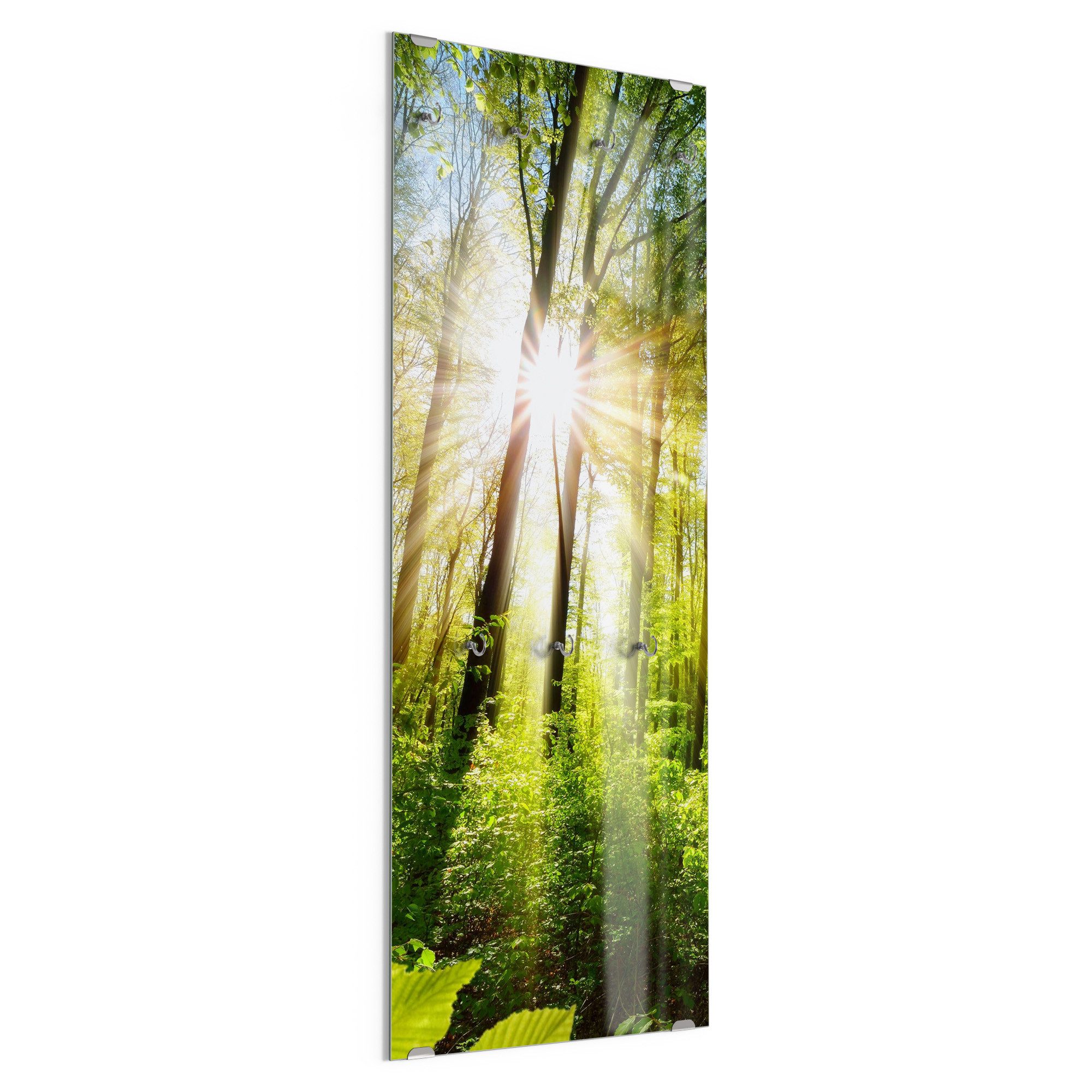 DEQORI Kleiderhaken 'Licht durchdringt Bäume', Glas Garderobe hängend Flur Jackenhalter modern Wandgarderobe Haken