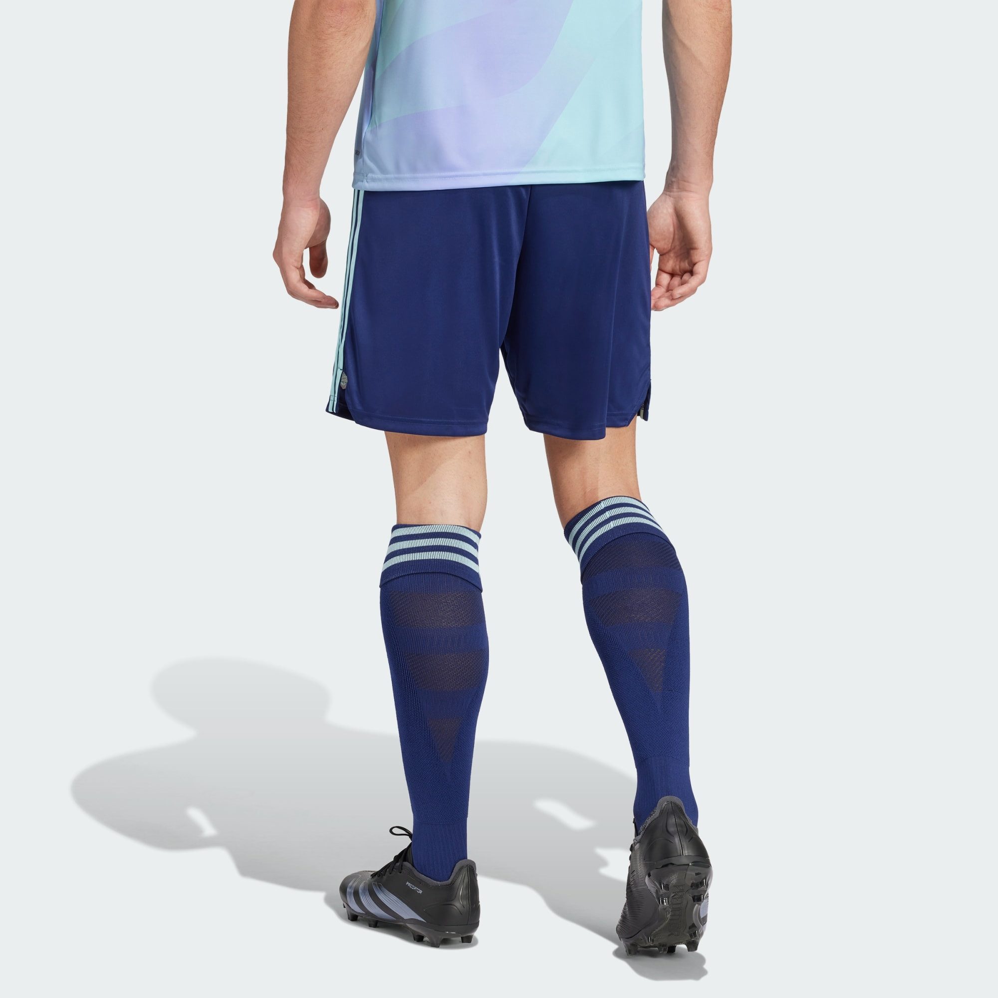 adidas Performance Shorts FC ARSENAL 24/25 AUSWEICHSHORTS (1-tlg)