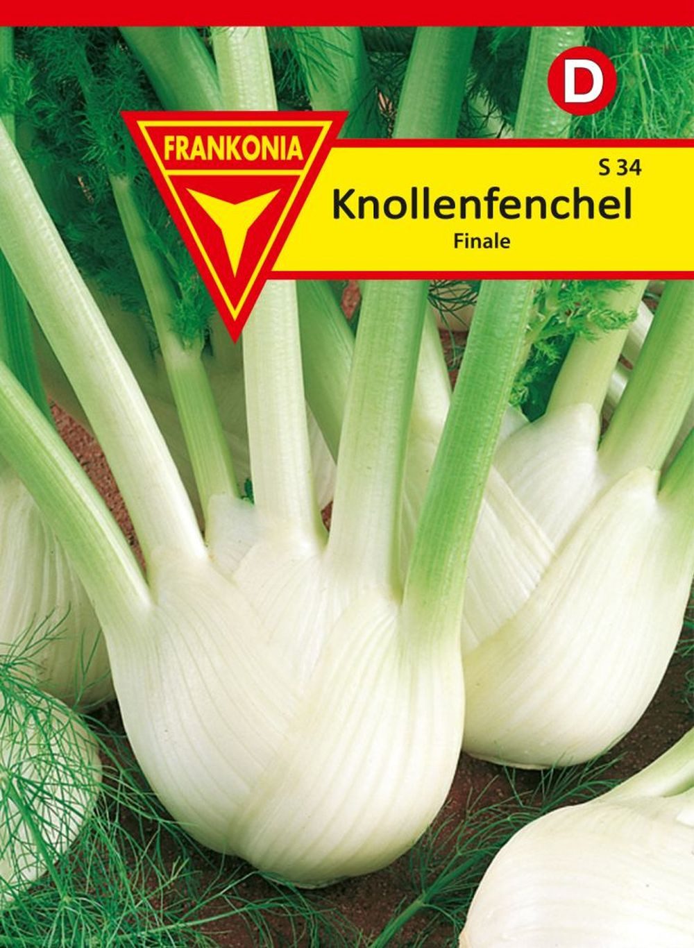 FRANKONIA Gemüsesamen Knollenfenchel, Finale - Saatgut Samen, Foenicuum vugare