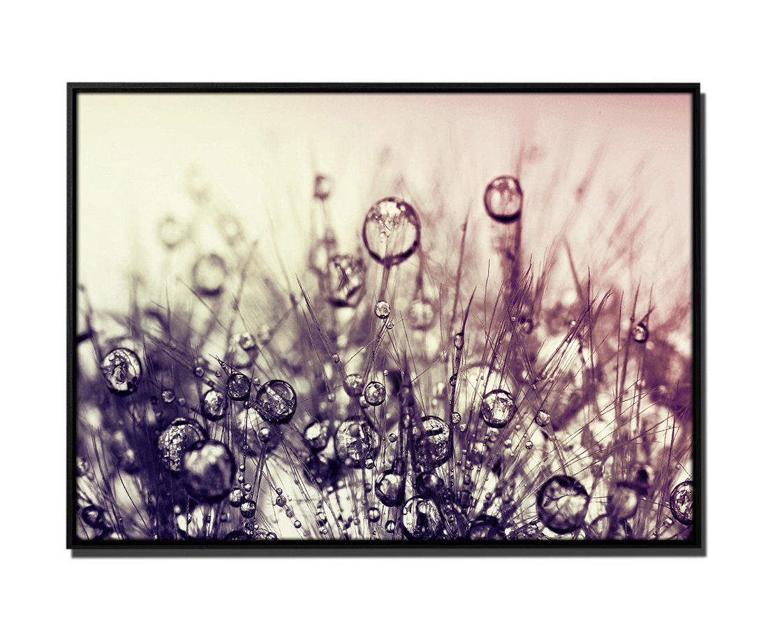 Sinus Art Leinwandbild 105x75cm Leinwandbild Petrol Makroaufnahme Blüte mit Wassertropfen I