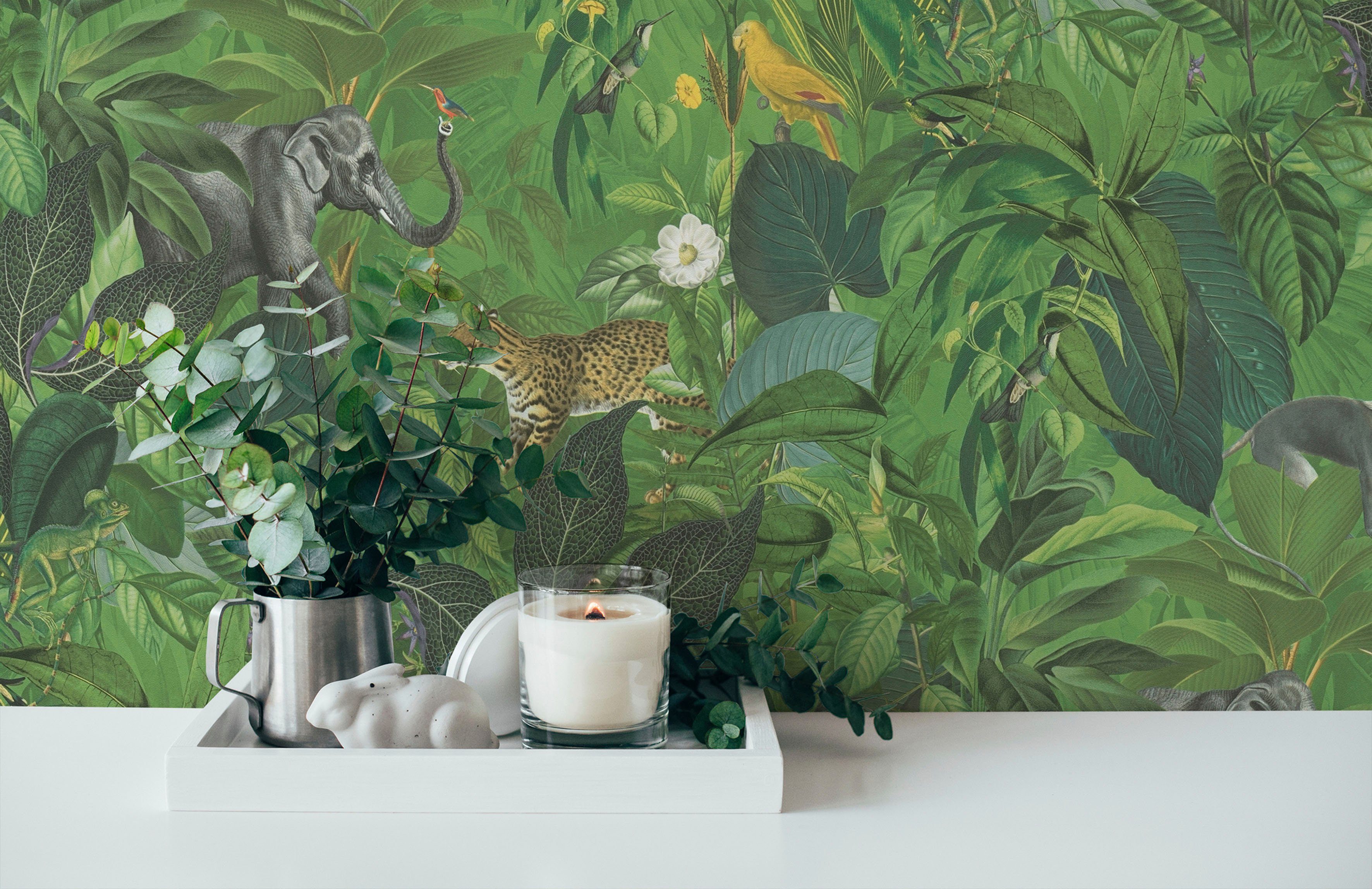 matt, Création Tieger A.S. Dschungel (1 Vliestapete St), mit Tieren, Elefant Blätter PintWalls grün/braun/grau glatt, Affen
