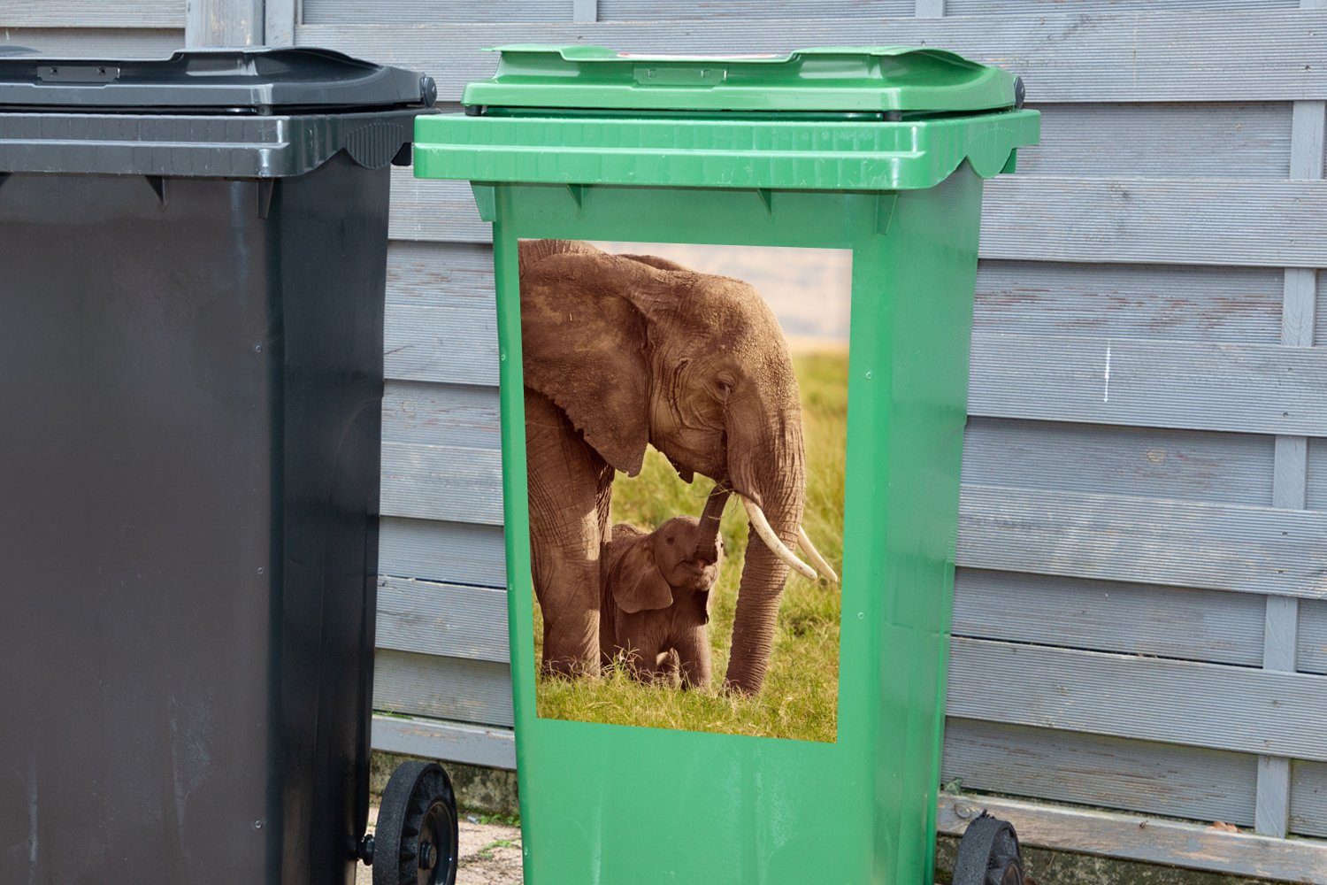 Mülltonne, MuchoWow Sticker, St), Rüssel - Abfalbehälter Wandsticker - Gras Mülleimer-aufkleber, Container, - Jung (1 Elefant