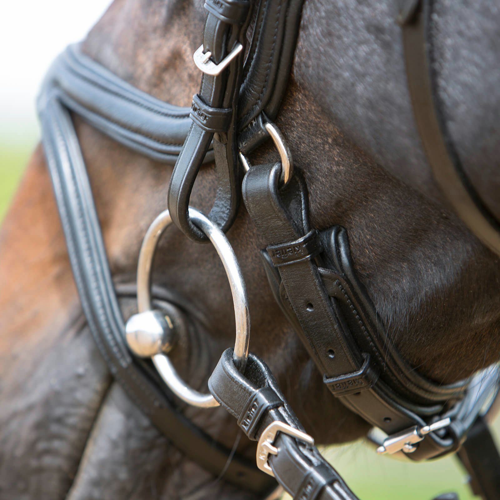 Kieffer Trensenzaum Trensenzaum Ultrasoft Tara schwarz - Warmblut
