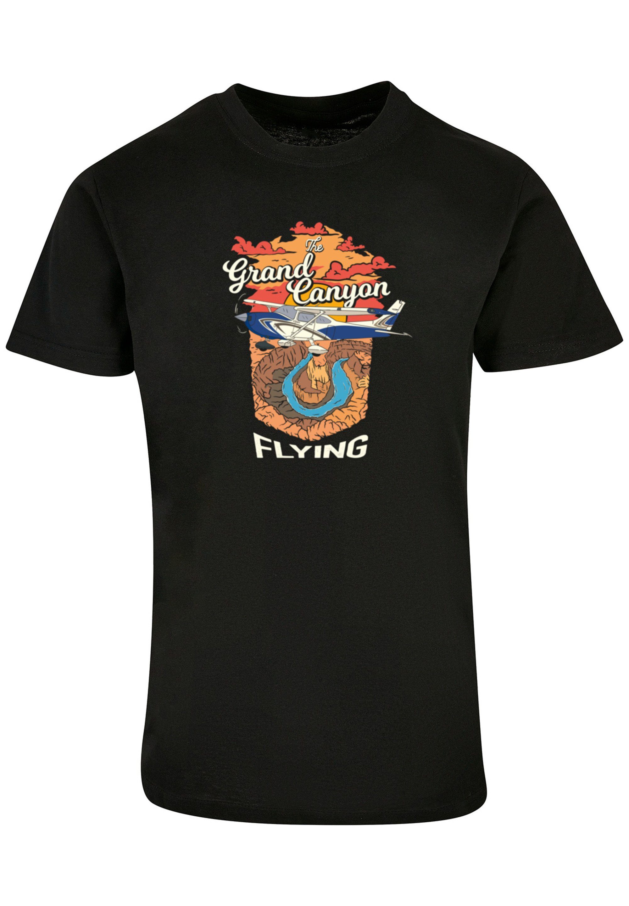 F4NT4STIC T-Shirt Grand Flying Print Canyon schwarz