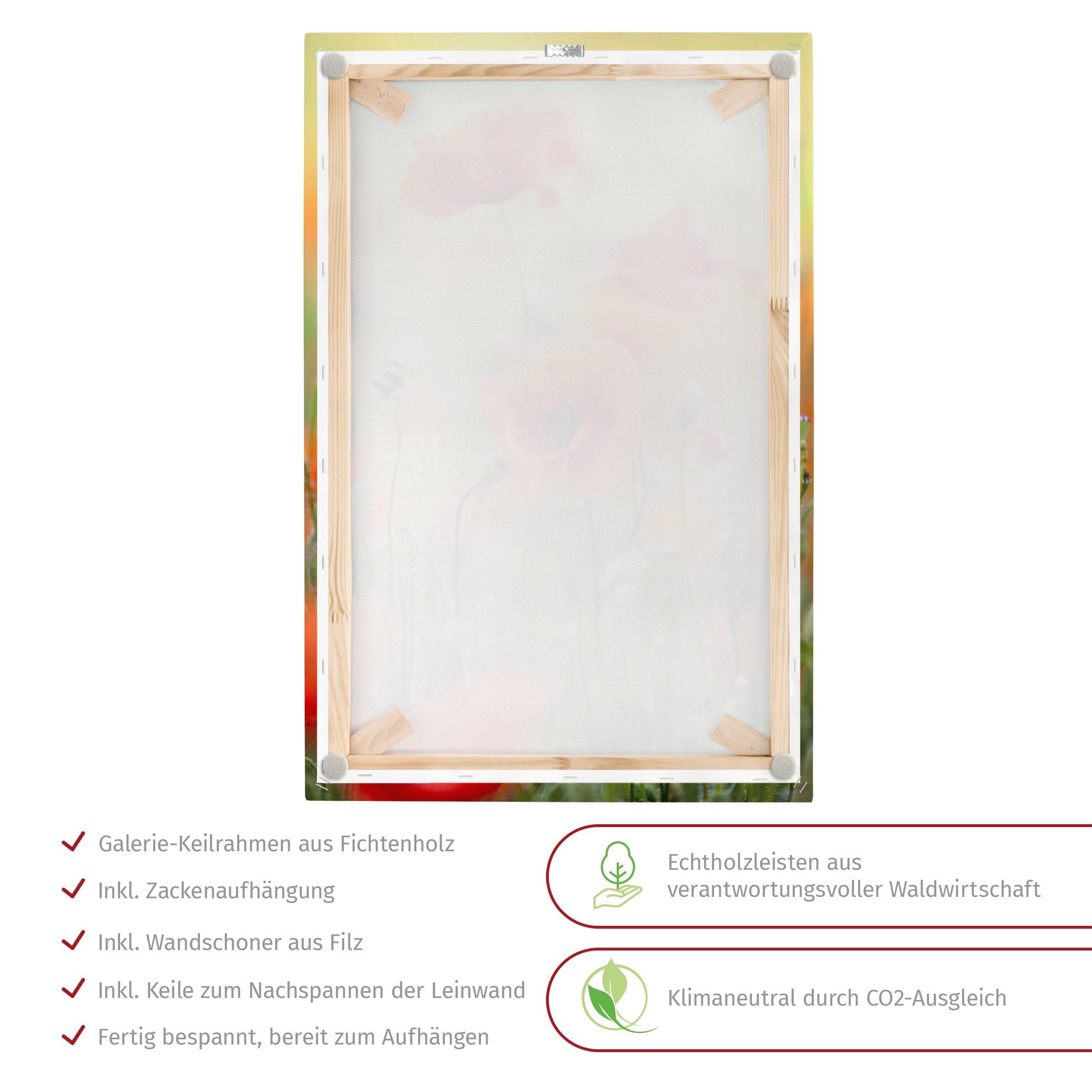 Bilderdepot24 Leinwandbild Blume Natur Modern Roter günstig online kaufen