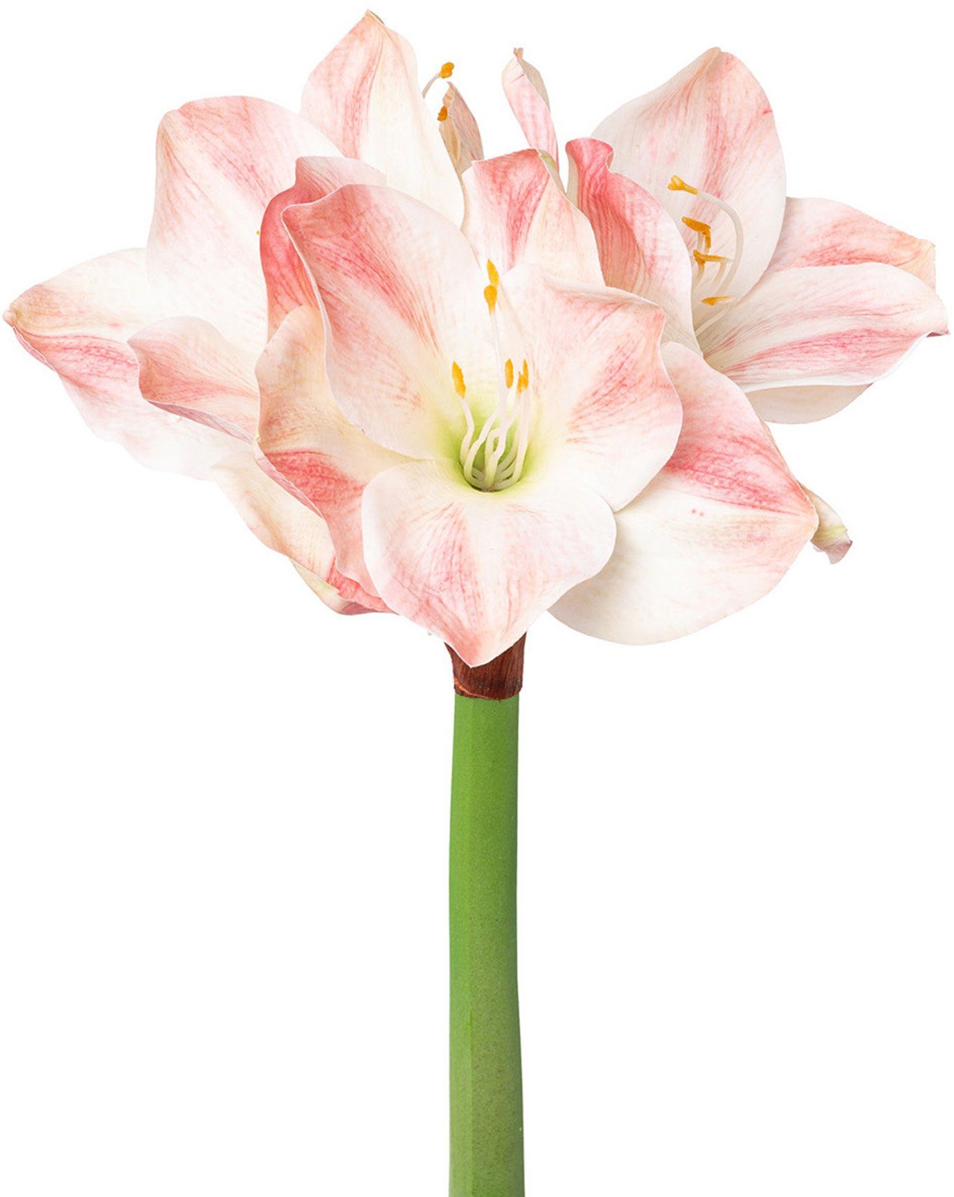 Winterliche Kunstpflanze Weihnachtsdeko Amaryllis, Creativ green, günstig online kaufen