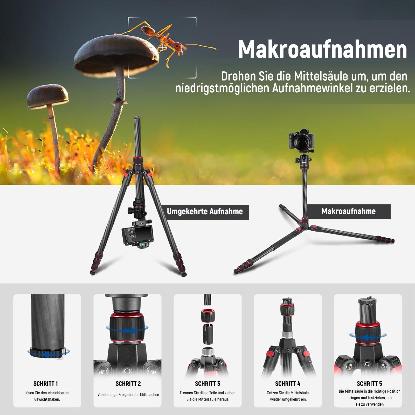 Neewer N55C Carbon Einbeinstativ 172cm mit Kugelkopf, max. 12kg Kamerastativ (höhenverstellbar von 57.5 bis 172 cm) – Bild 5 von 5
