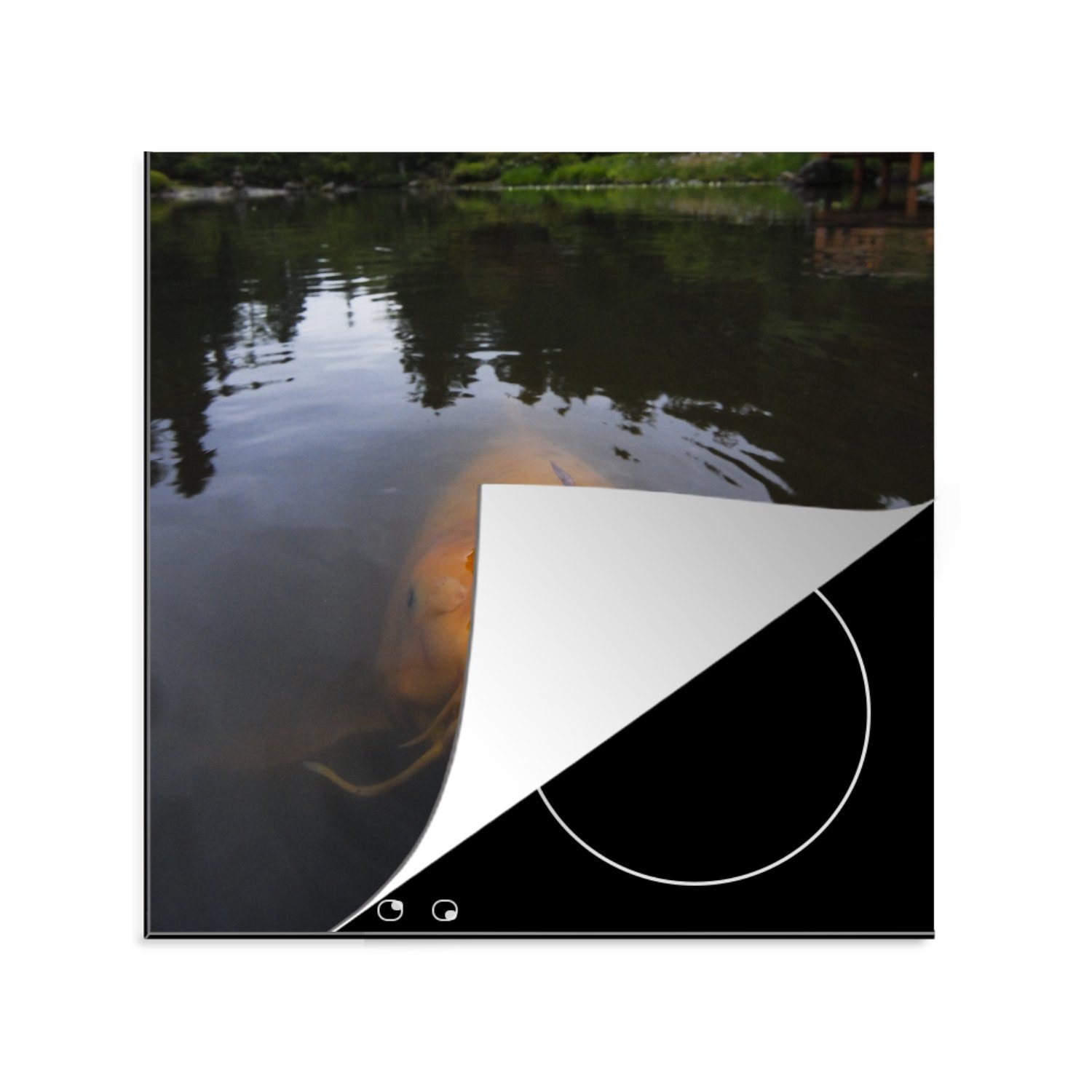 MuchoWow Herdblende-/Abdeckplatte Ein riesiger Koi-Karpfen im Wasser, Vinyl, (1 tlg), 78x78 cm, Ceranfeldabdeckung, Arbeitsplatte für küche