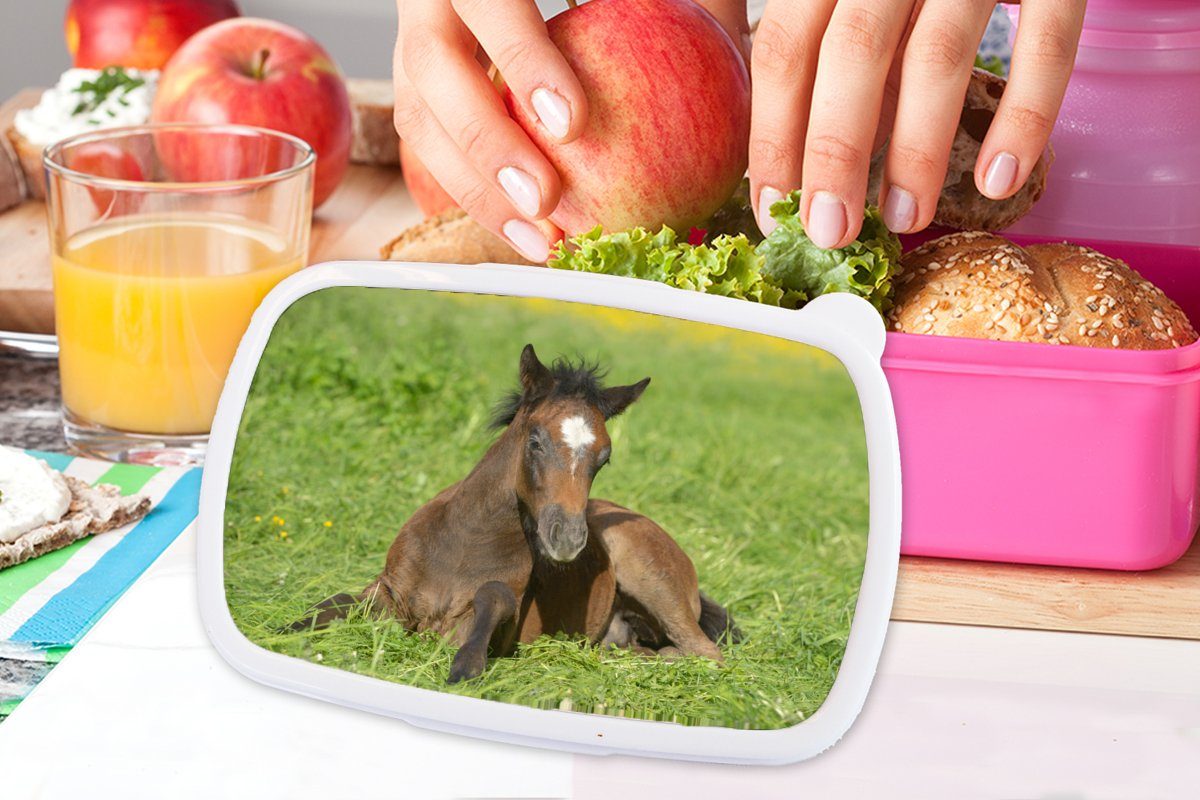 MuchoWow Lunchbox Pferde - Licht Erwachsene, Brotbox Kunststoff, (2-tlg), Gras, Brotdose Kinder, für rosa Mädchen, Snackbox, Kunststoff 