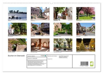 CALVENDO Wandkalender Buchen im Odenwald (Premium, hochwertiger DIN A2 Wandkalender 2023, Kunstdruck in Hochglanz)