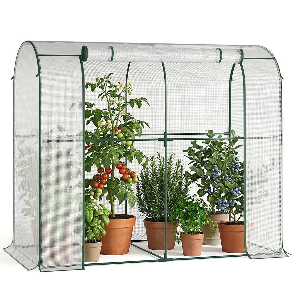 Tomatengewächshaus Begehbares Tomatengewächshaus, Foliengewächshaus für Pflanzen