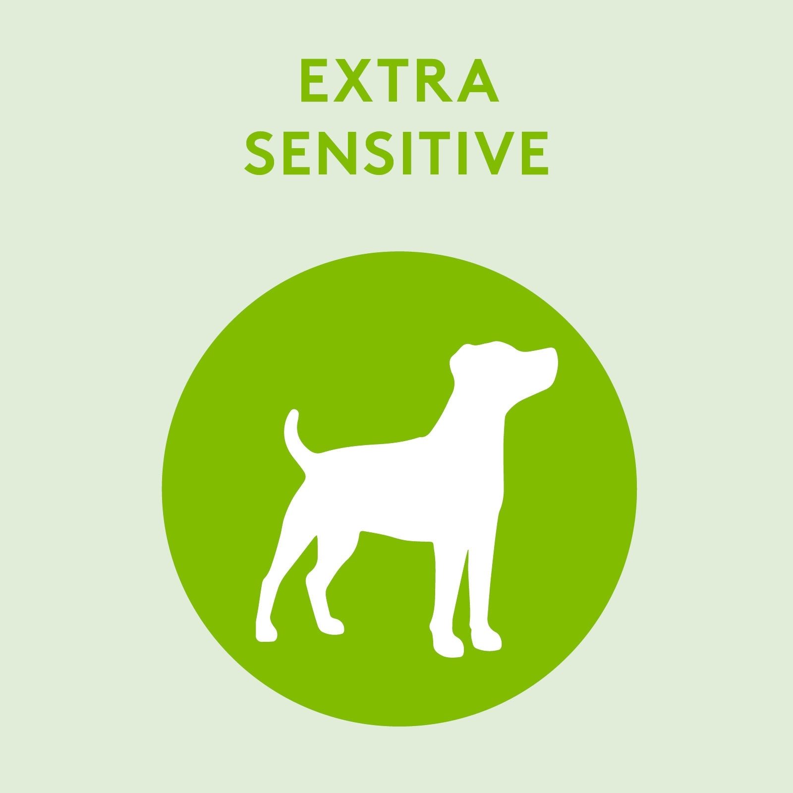 Tierfee Tiershampoo Ökologisches Hunde-Shampoo Extra Sensitive 250 ml, 250 ml, ökologisch, vegan
