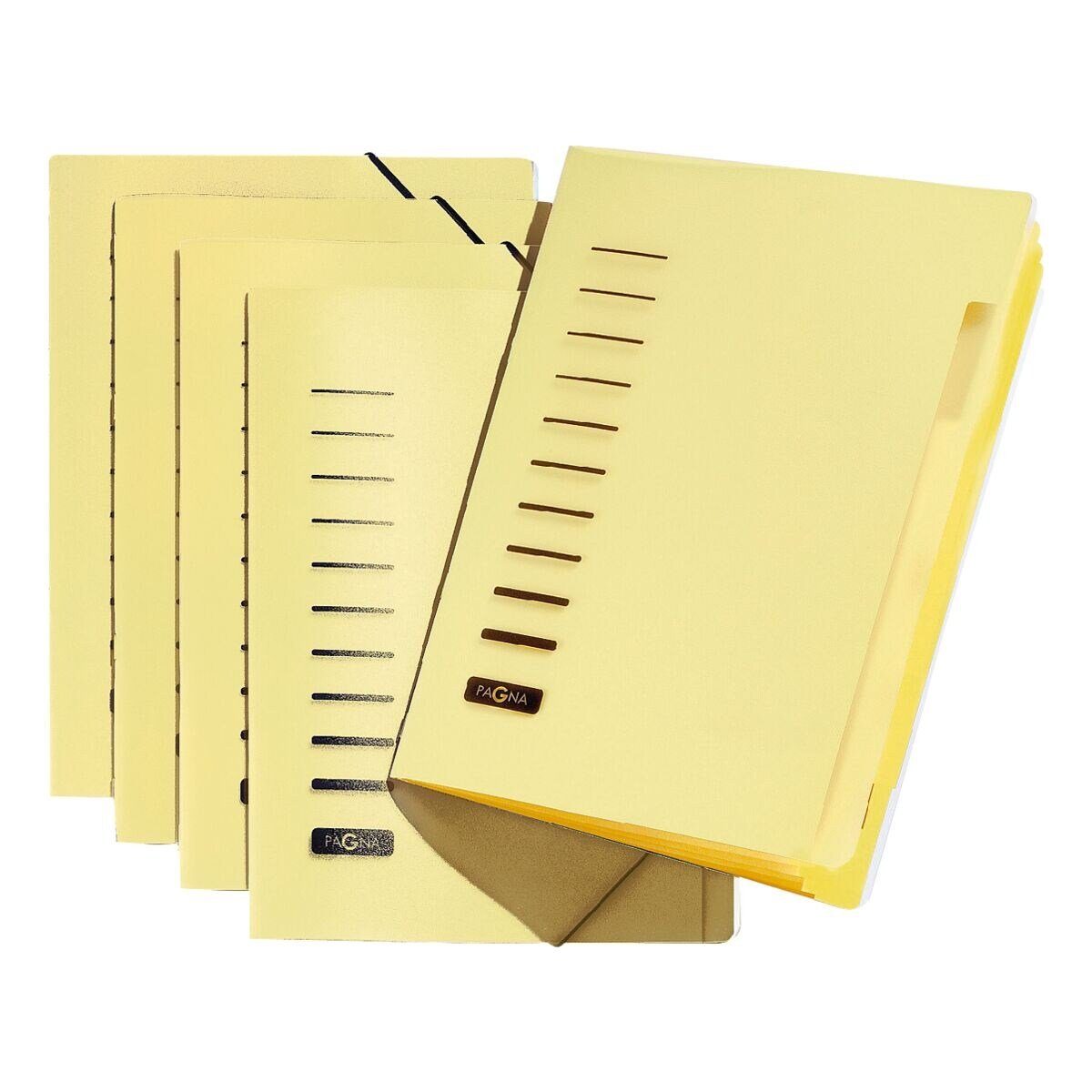 PAGNA Organisationsmappe, Ordnungsmappe mit 6 Fächern, farbiges Register, A4
