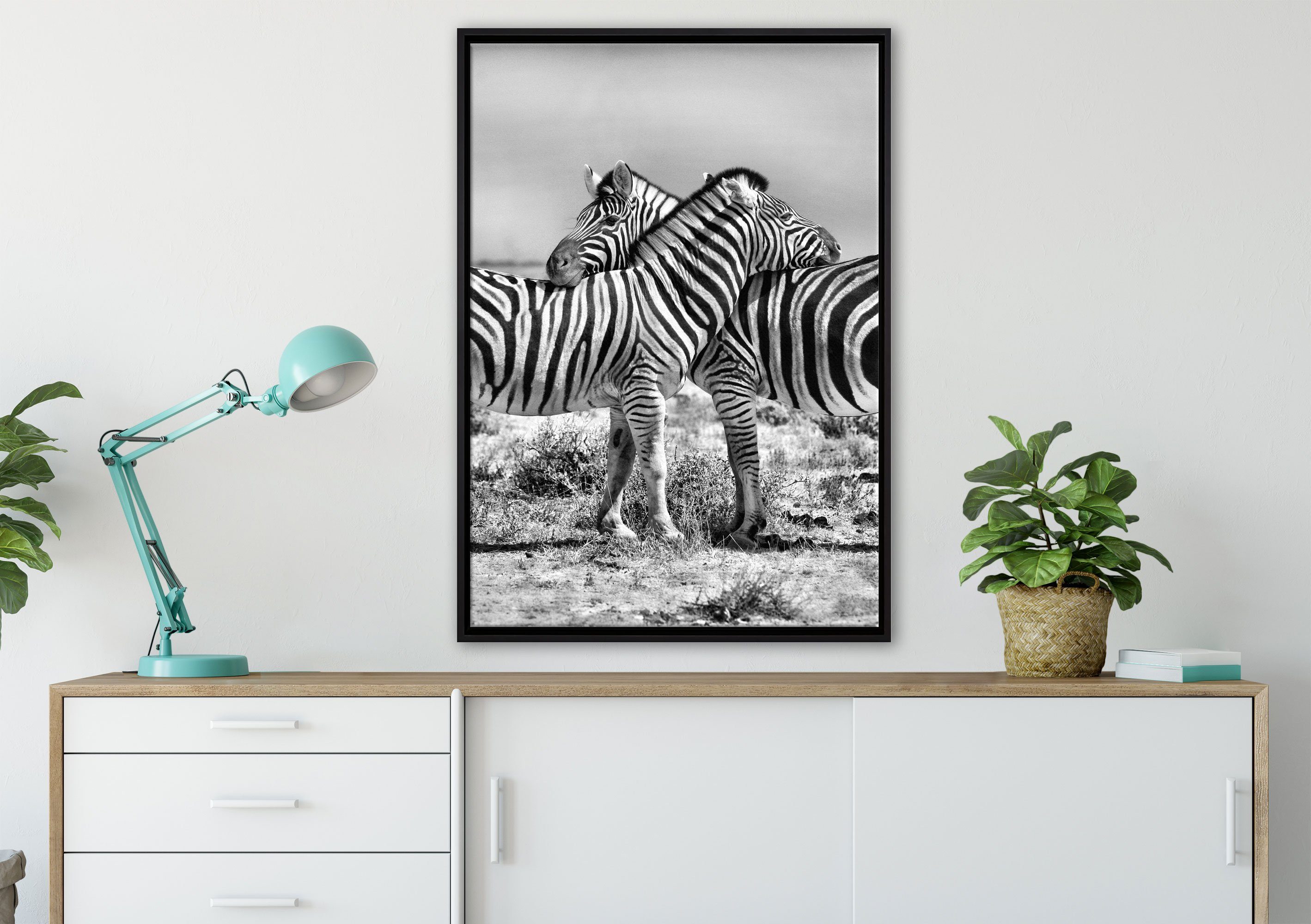Schmusende (1 Pixxprint Zackenaufhänger einem Leinwandbild Leinwandbild inkl. gefasst, Zebras, St), Wanddekoration Schattenfugen-Bilderrahmen in bespannt, fertig