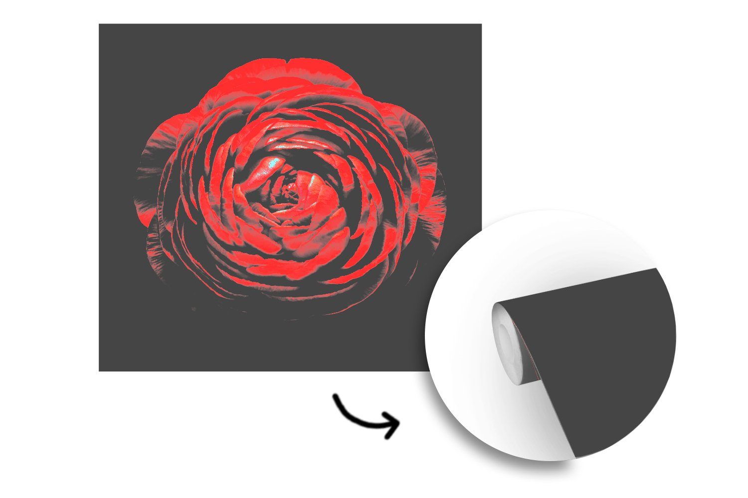 bedruckt, Schlafzimmer, Wohnzimmer auf St), einer MuchoWow oder Nahaufnahme schwarzem Fototapete Matt, Hintergrund, Vinyl Eine Wandtapete (5 Butterblume roten Tapete für