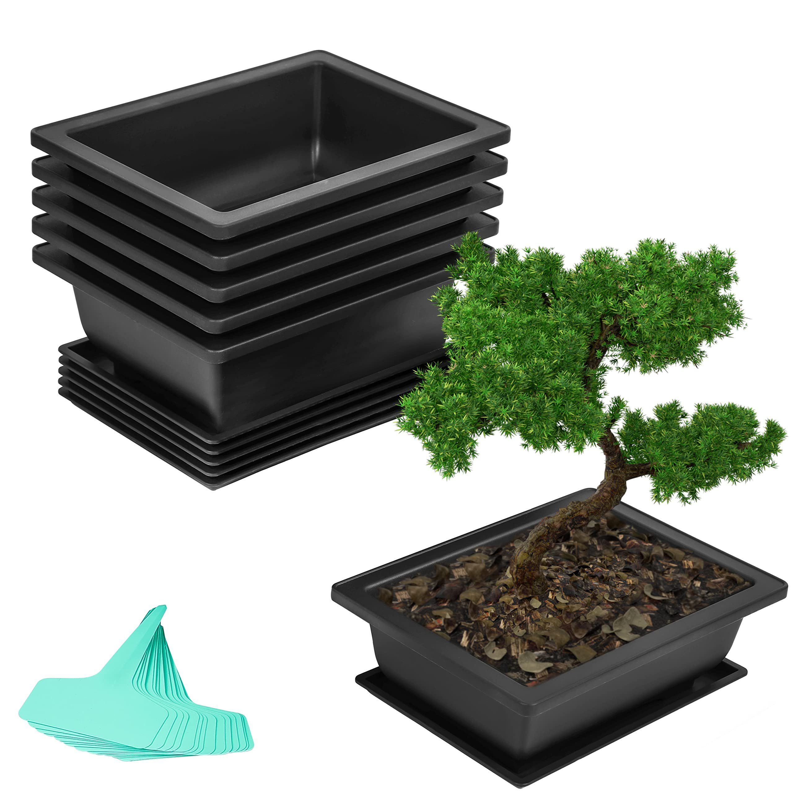 Belle Vous Blumentopf Bonsai Set - 6 STK Trainingspflanzen, 6 STK TrainingsBonsai Set 16,5 x 22,5cm Kunststoff Blumentopf