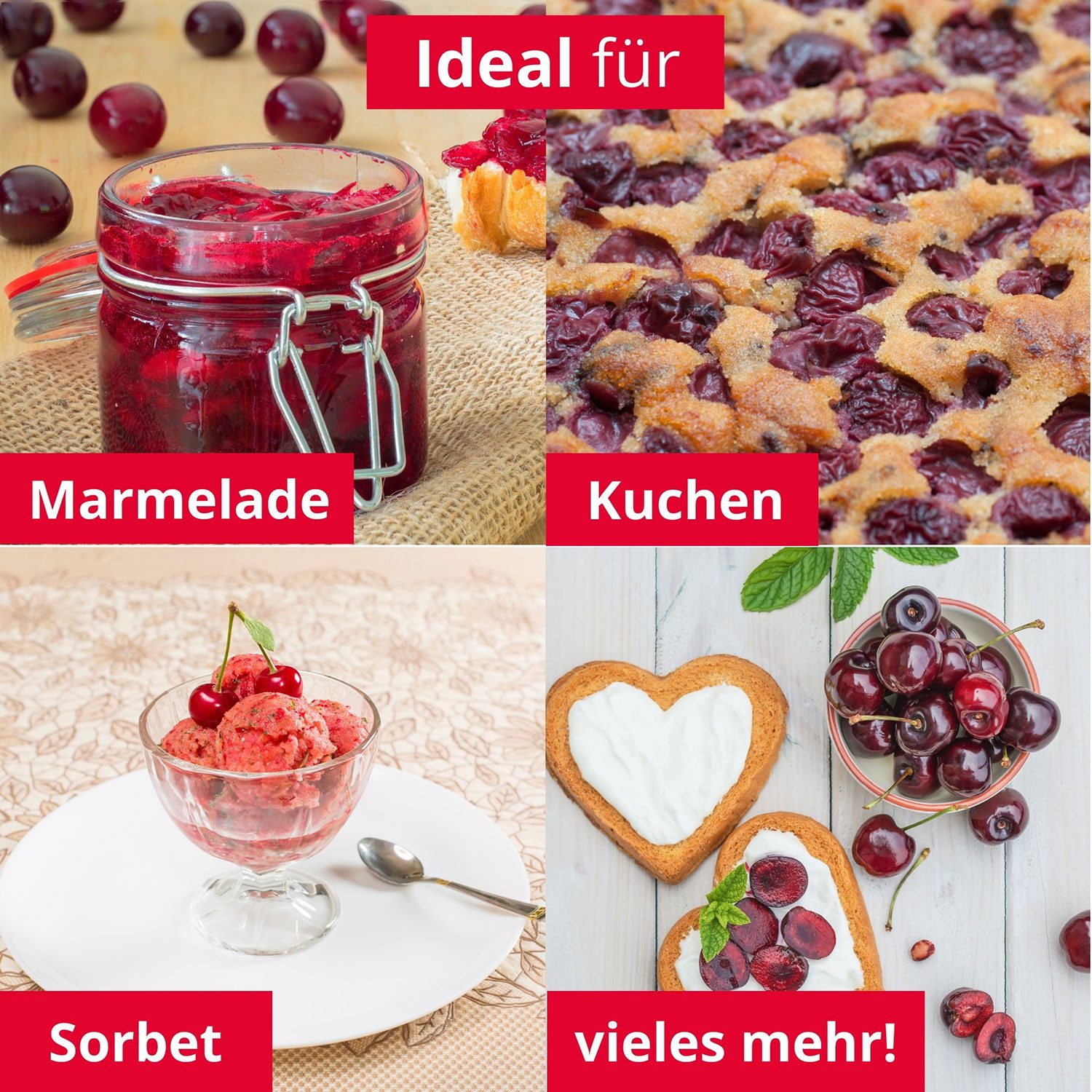 WESTMARK Entkerner für Kirschen Kerni – Preisgekröntes Werkzeug, Kirschentkerner, Aluminium, PP
