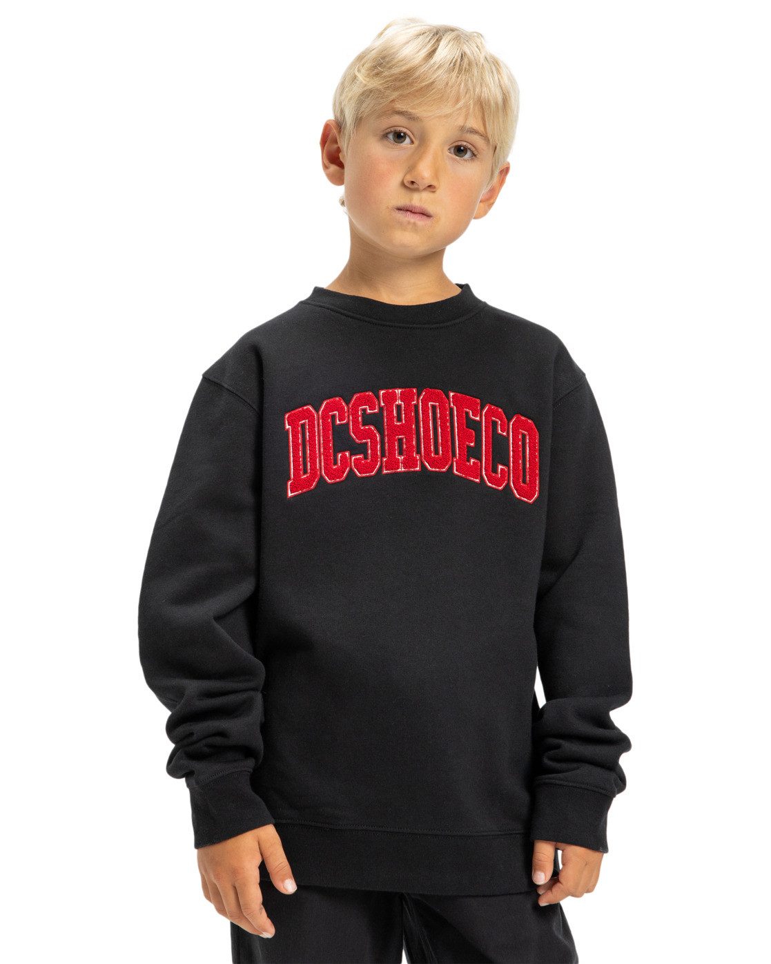 DC Shoes Sweatshirt Varsity