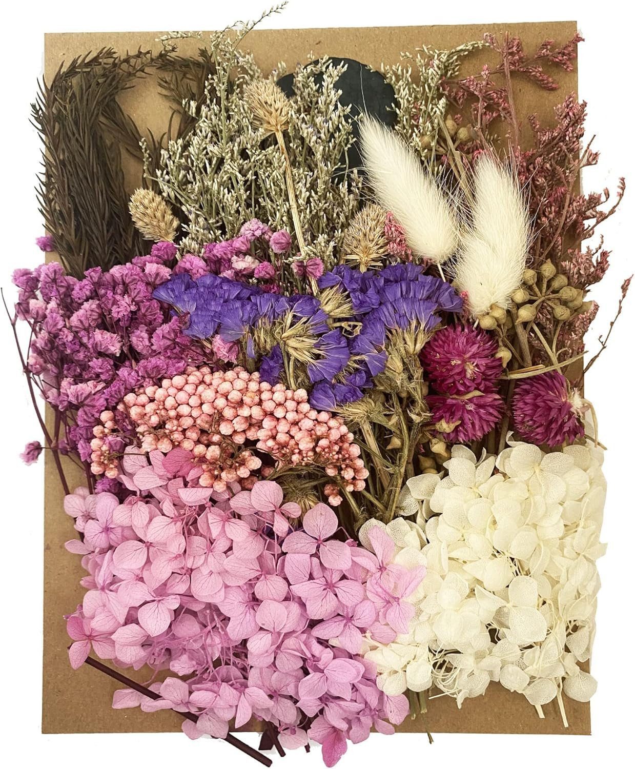 Trockenblume Trockenblumen Set Getrocknete Blumen Blätter DIY Bastelset, FOUORTU
